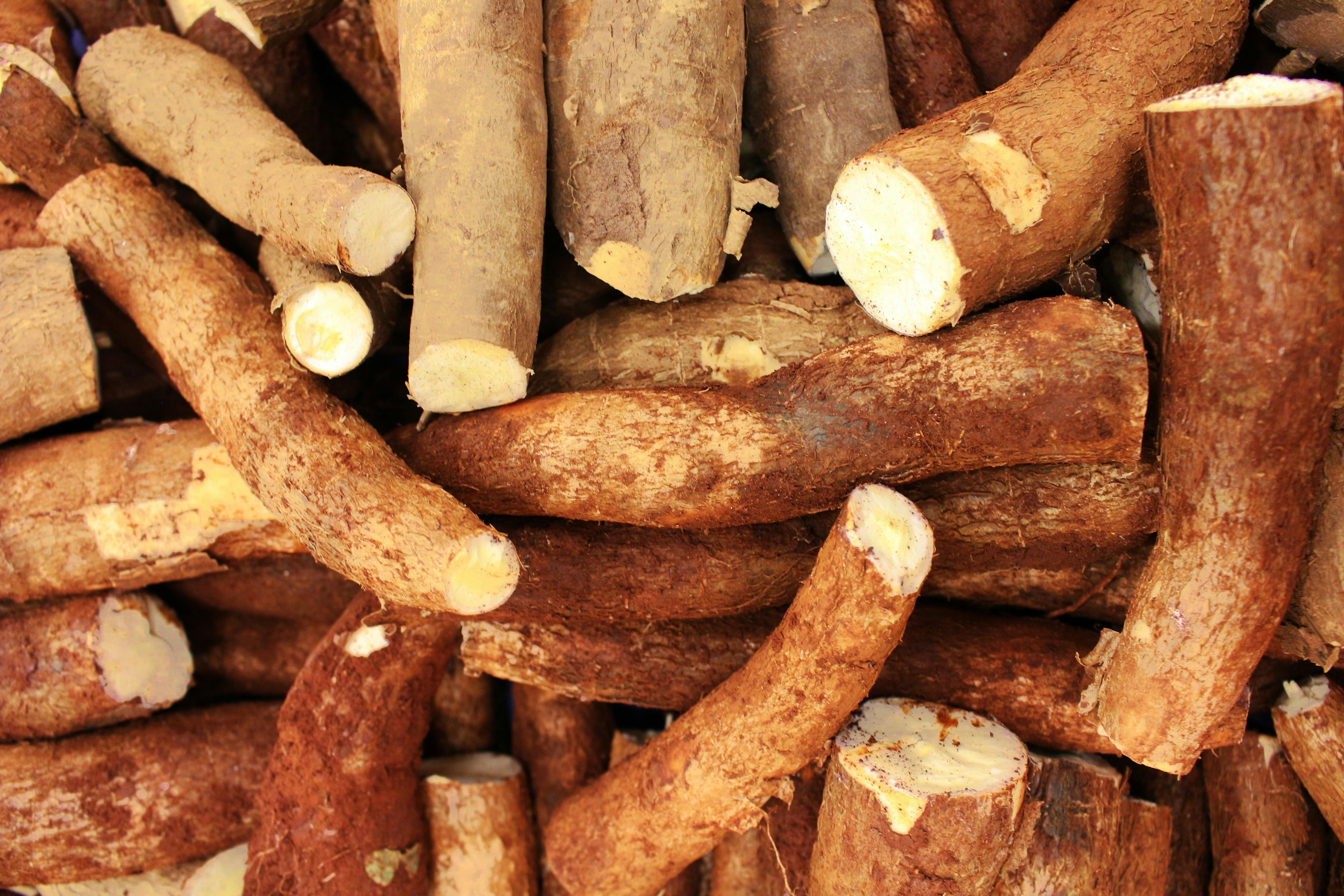 EXCLUSIVE: Lagos Food Prices Show Dramatic 38% Garri Crash Amid ₦11,400 Rice Surge Over 5 Months