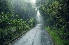 Don't Plant Yet: FG Warns Farmers as NiMet Unveils 2026 Rainfall Forecast — Here's What It Means for Food Prices