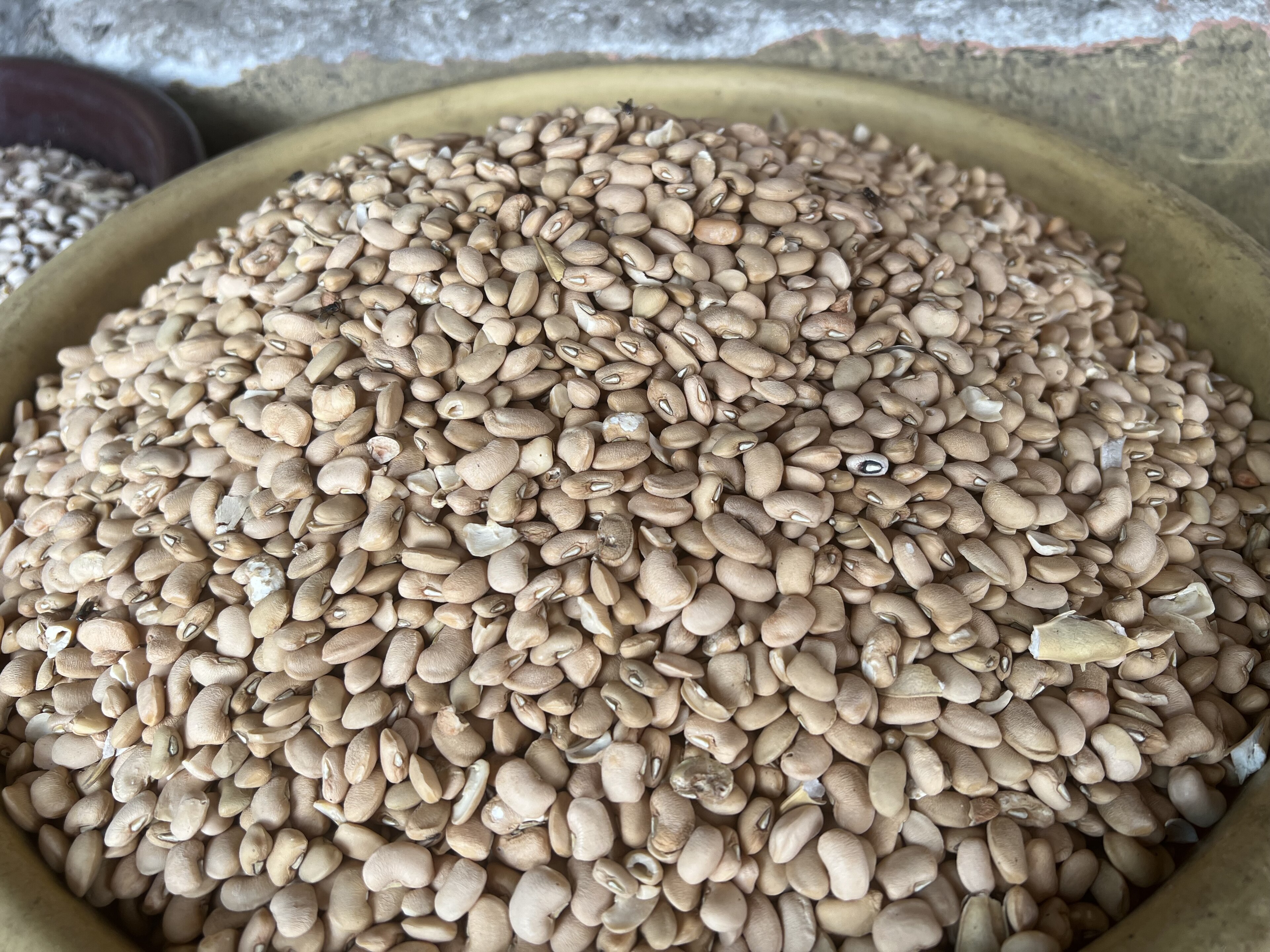 Save ₦2,500 on Beans (Oloyin): ₦3,500 a Paint at Fresh Food Hub Mushin, ₦6,000 at Ajah Market