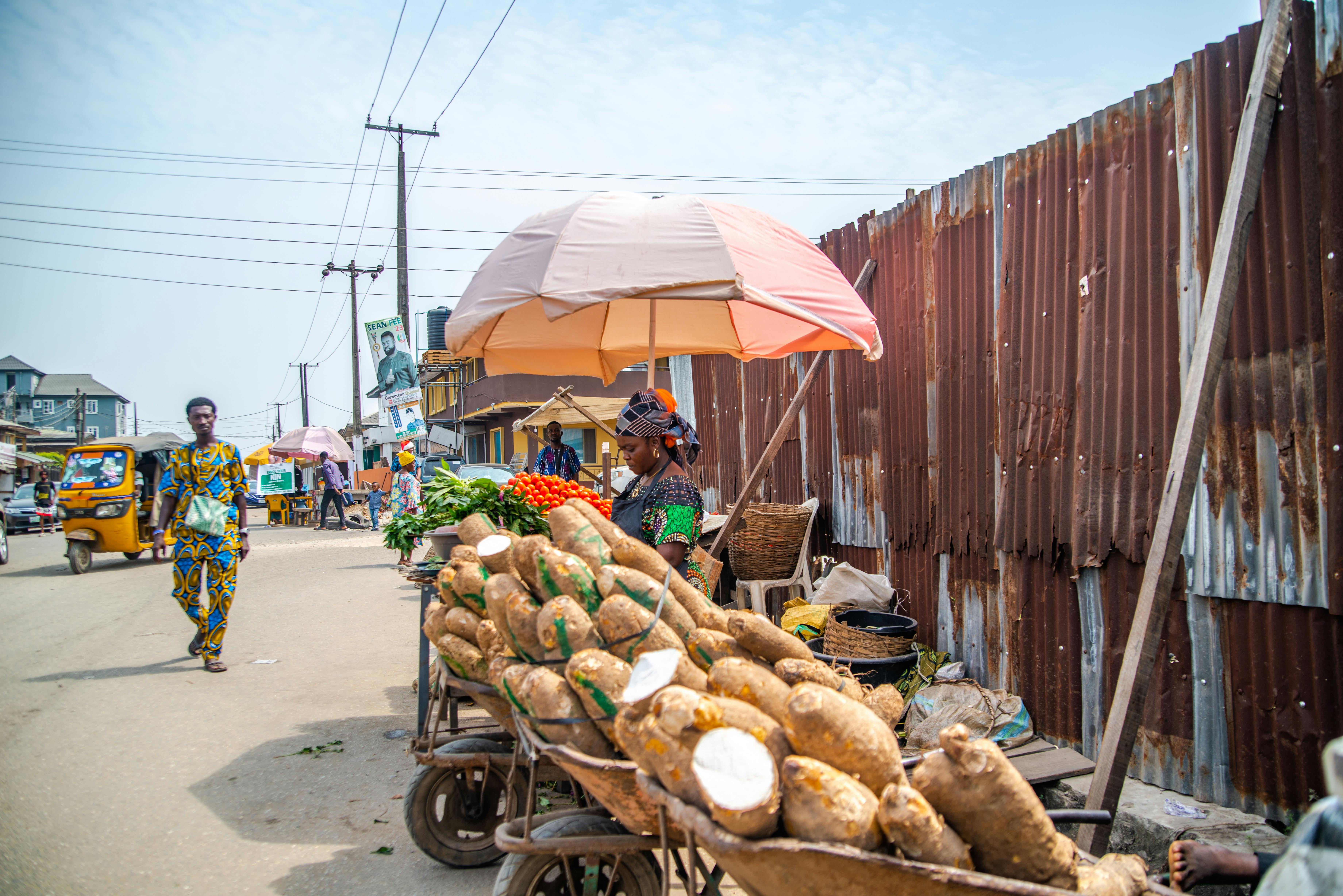 IITA Advocates Reforms to Boost Nigeria's Yam Production as Sector Faces Declining Competitiveness
