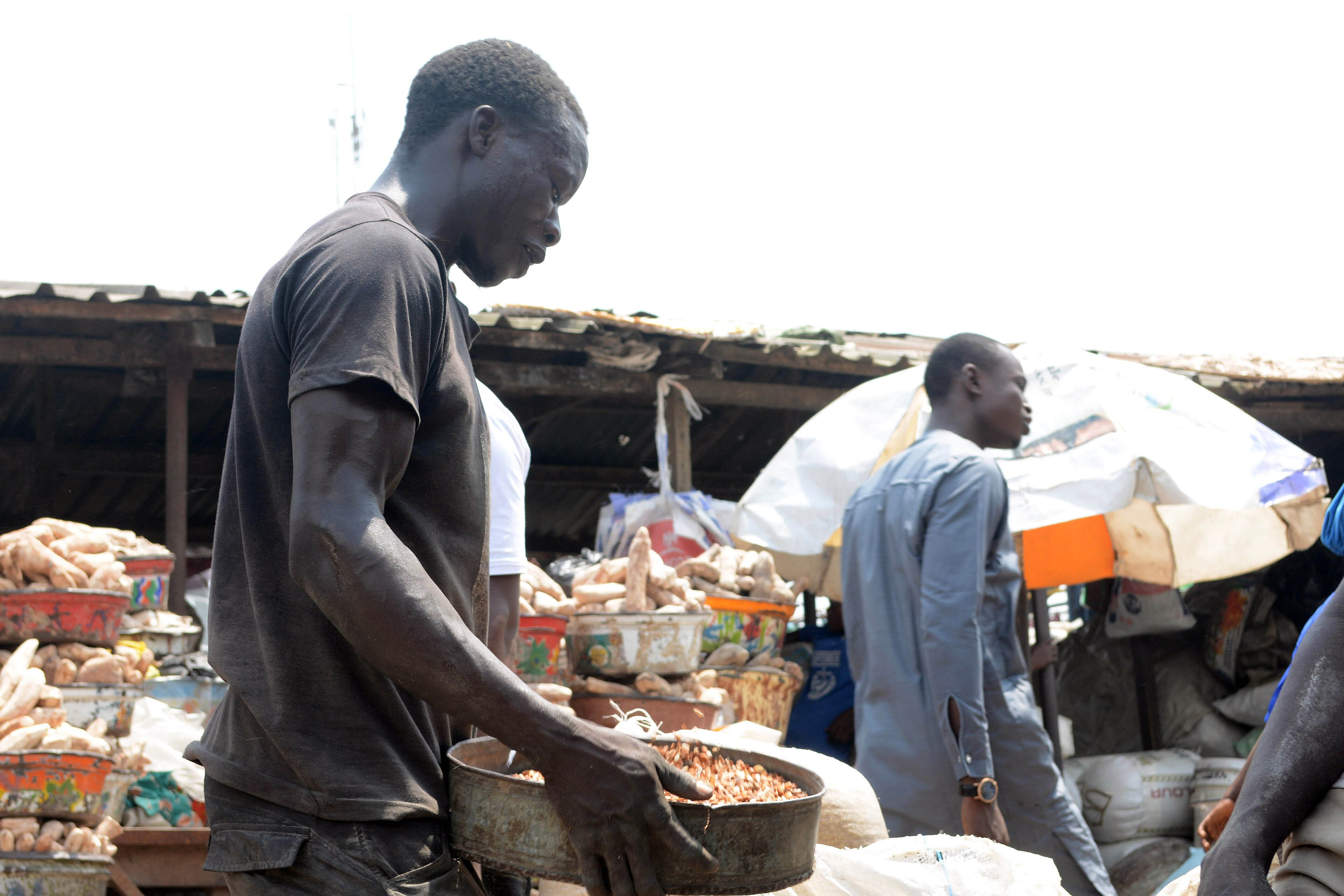 Medium Sized Yam Jumps 5.3% to ₦3,380 in Lagos as Old-Crop Supply Runs Thin