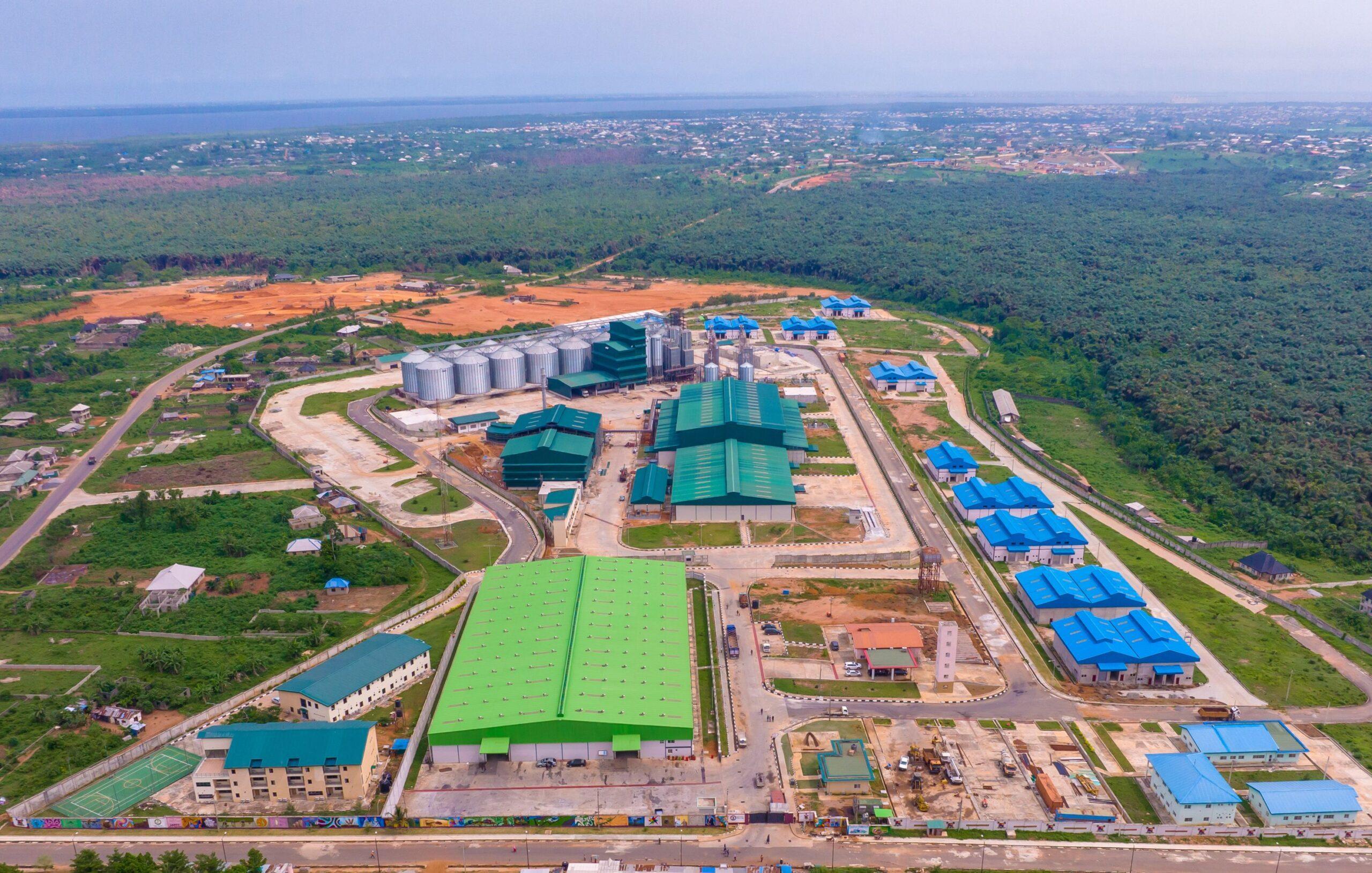 Did Nigeria's Local Rice Policy Work?