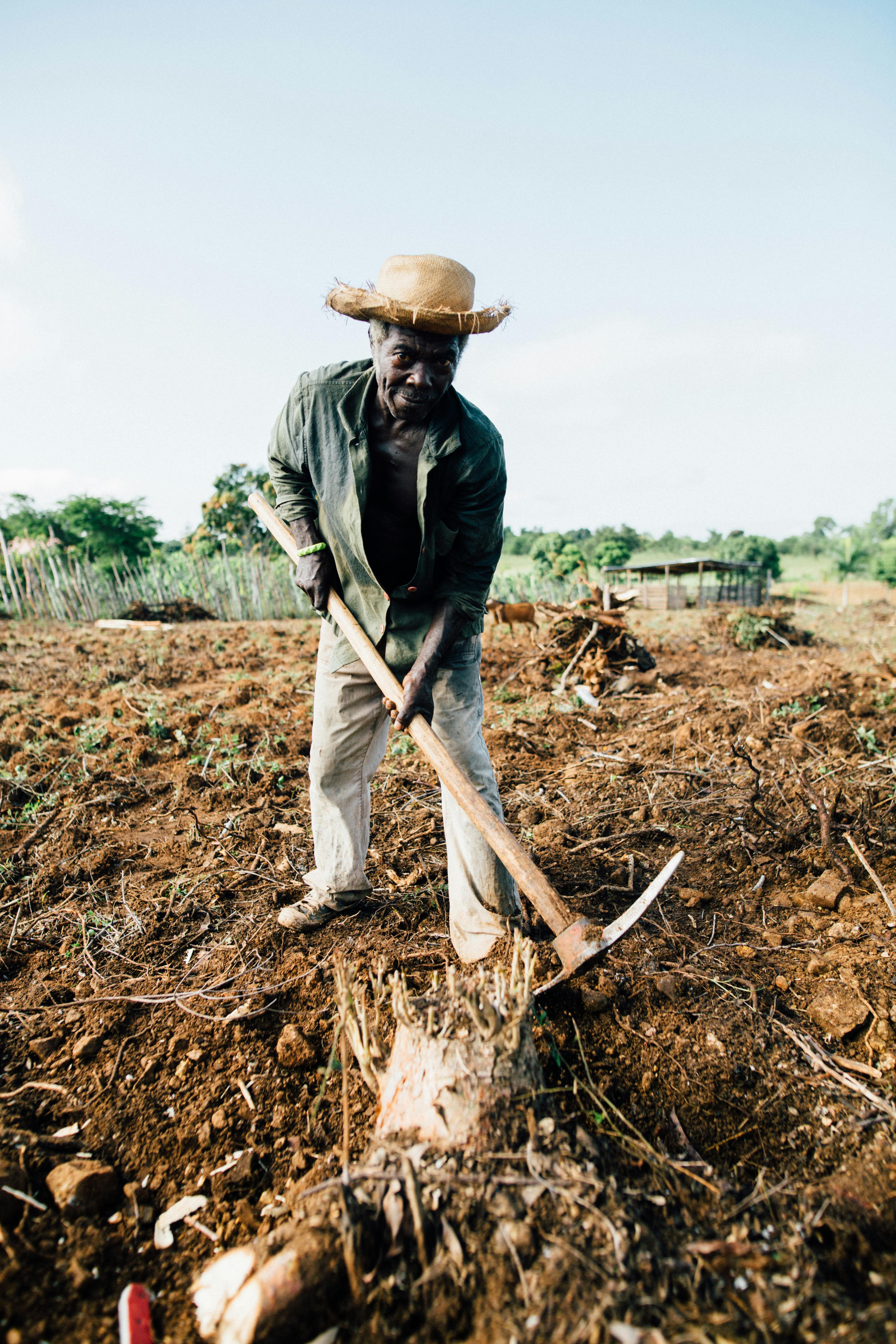 ALERT: Nigerian Farmers Abandoning Fields After "Great Loss of 2025" — Dry-Season Retreat Signals Fresh Food Price Surge Ahead
