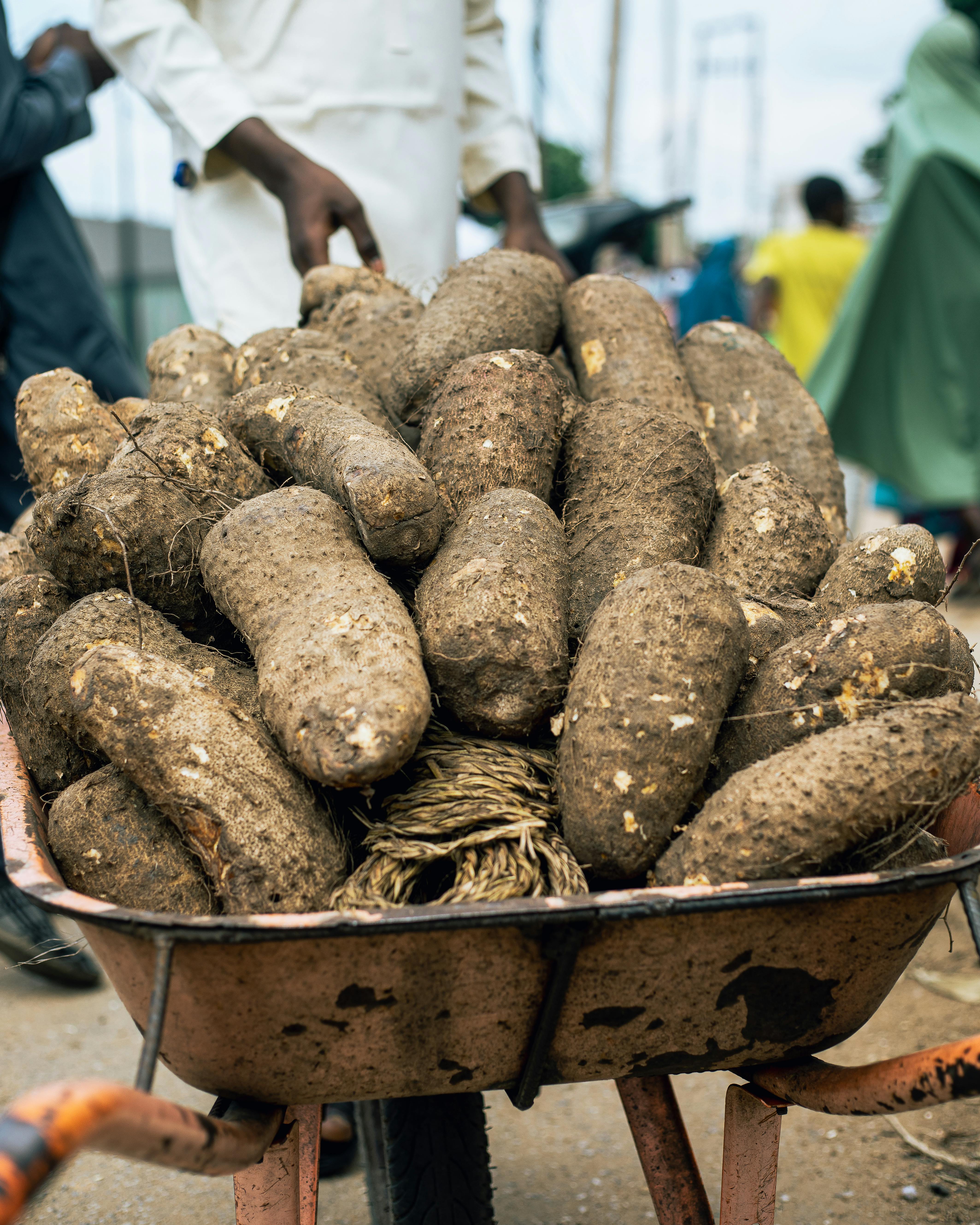 EXCLUSIVE: Pounded Yam for Six Now Costs ₦2,250-₦6,000 Across Lagos — ₦375-₦1,000 Per Plate