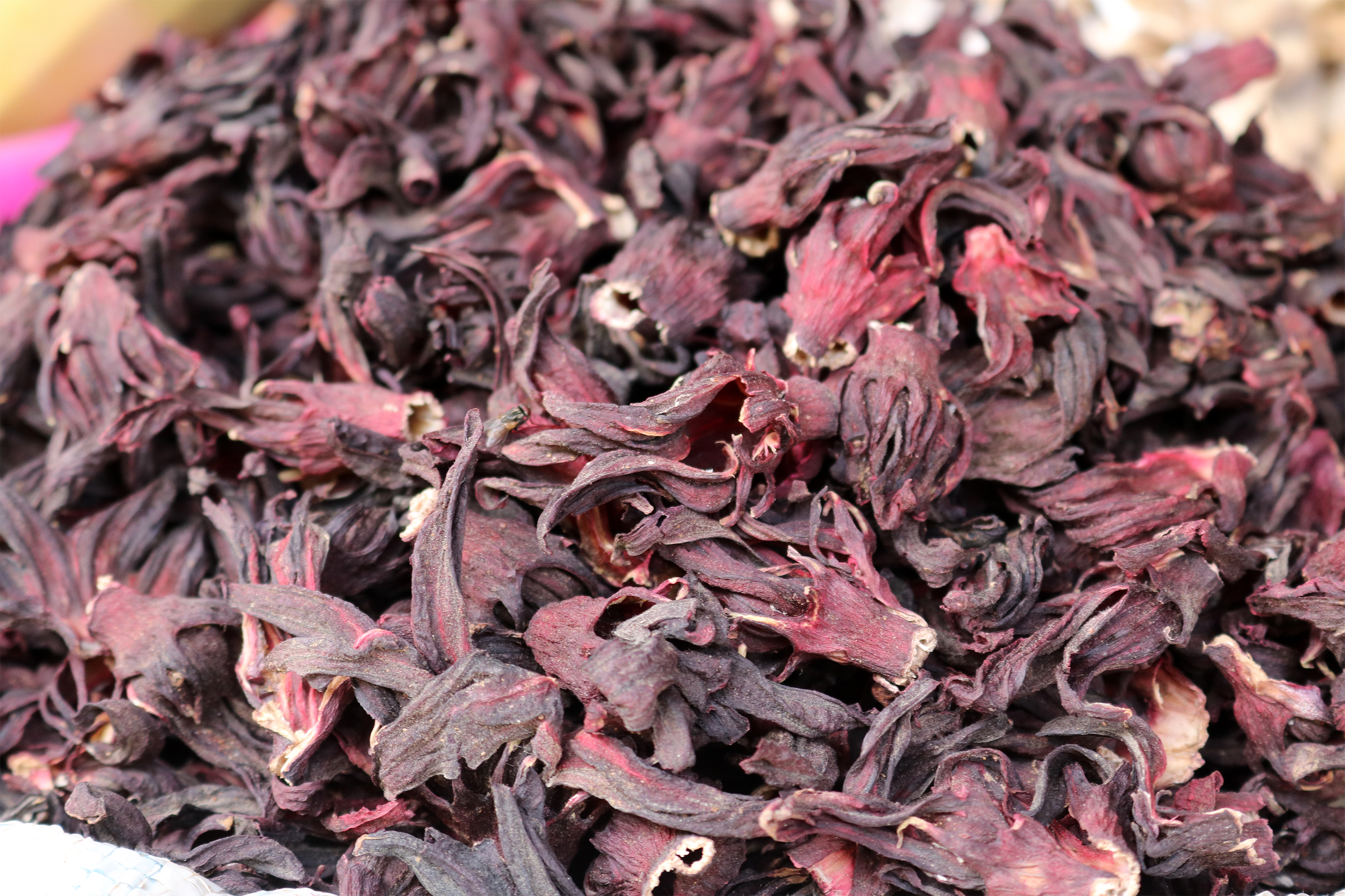 Zobo Blooms Into an Export Earner