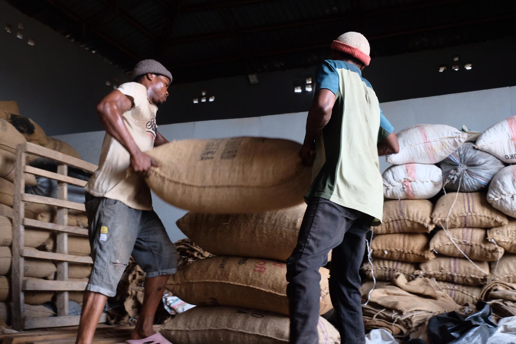 Africa's Cocoa Giants Unite in Abuja
