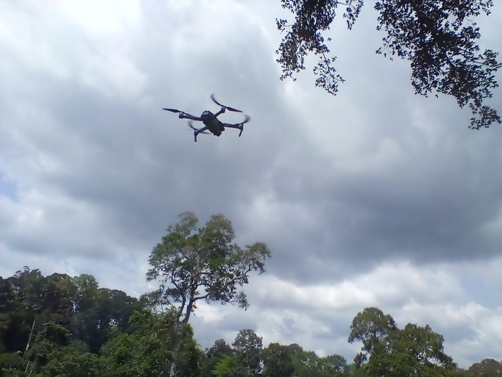 Drones Enlist in Nigeria's Farm Fight
