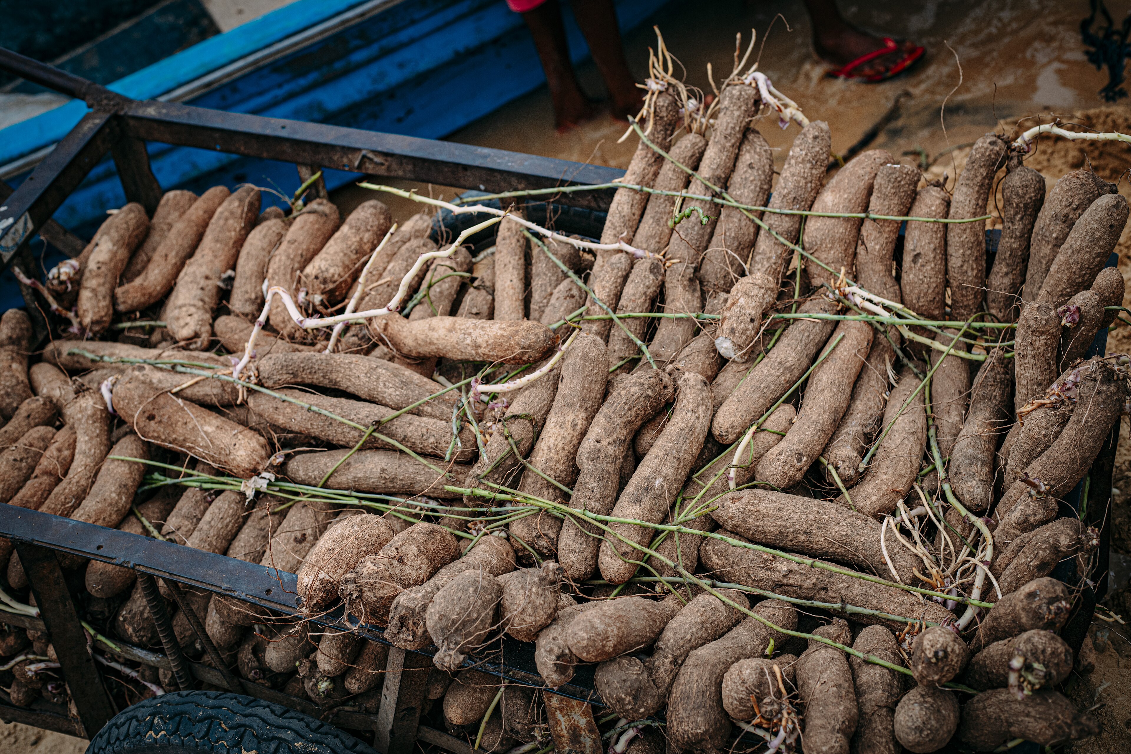 Lagos Prices Soften: Yam Falls 4.4%