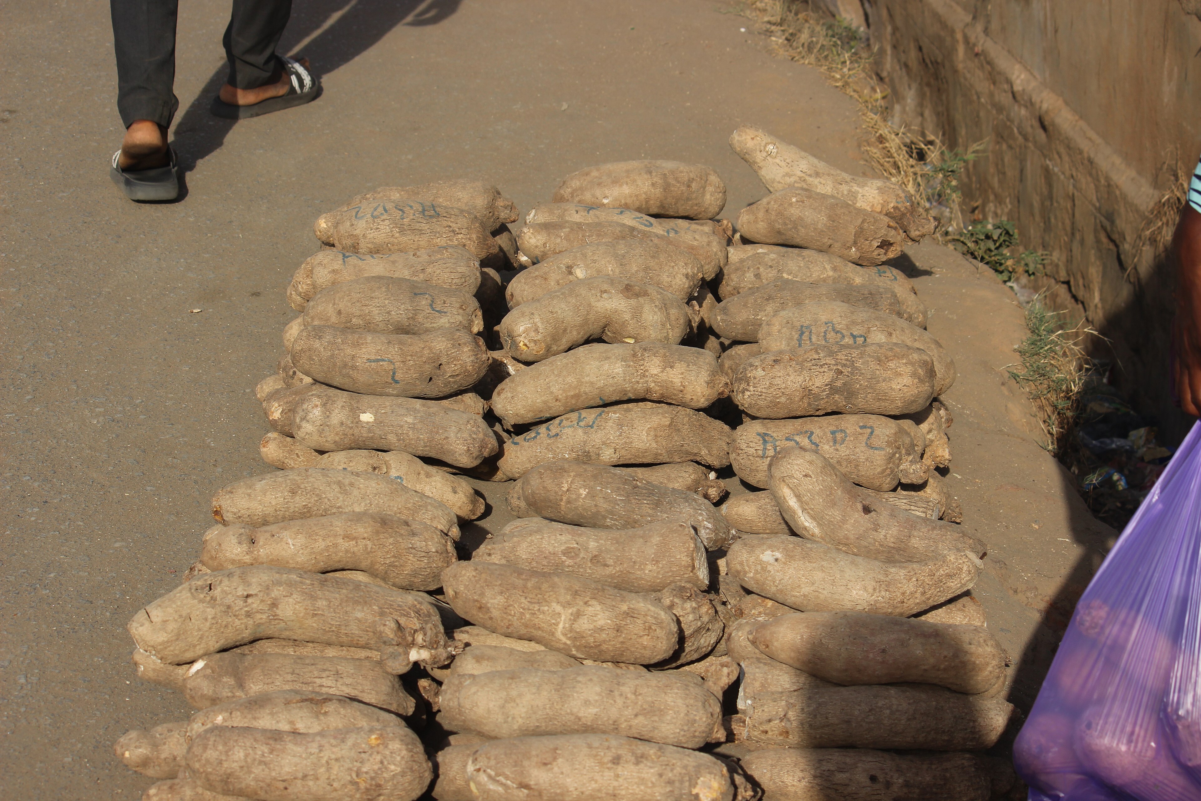 Yam Prices Drop Sharply in Lagos, Mean Falls 9.6% Against Rising Freight Costs
