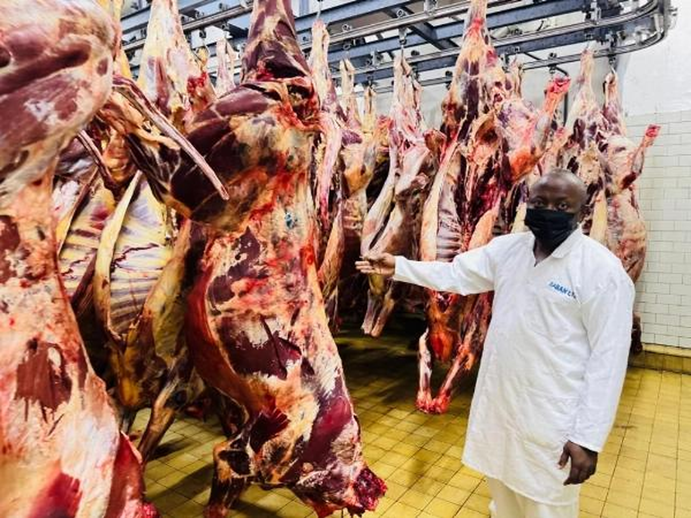 Nigeria Taps South Africa to Grade Its Beef