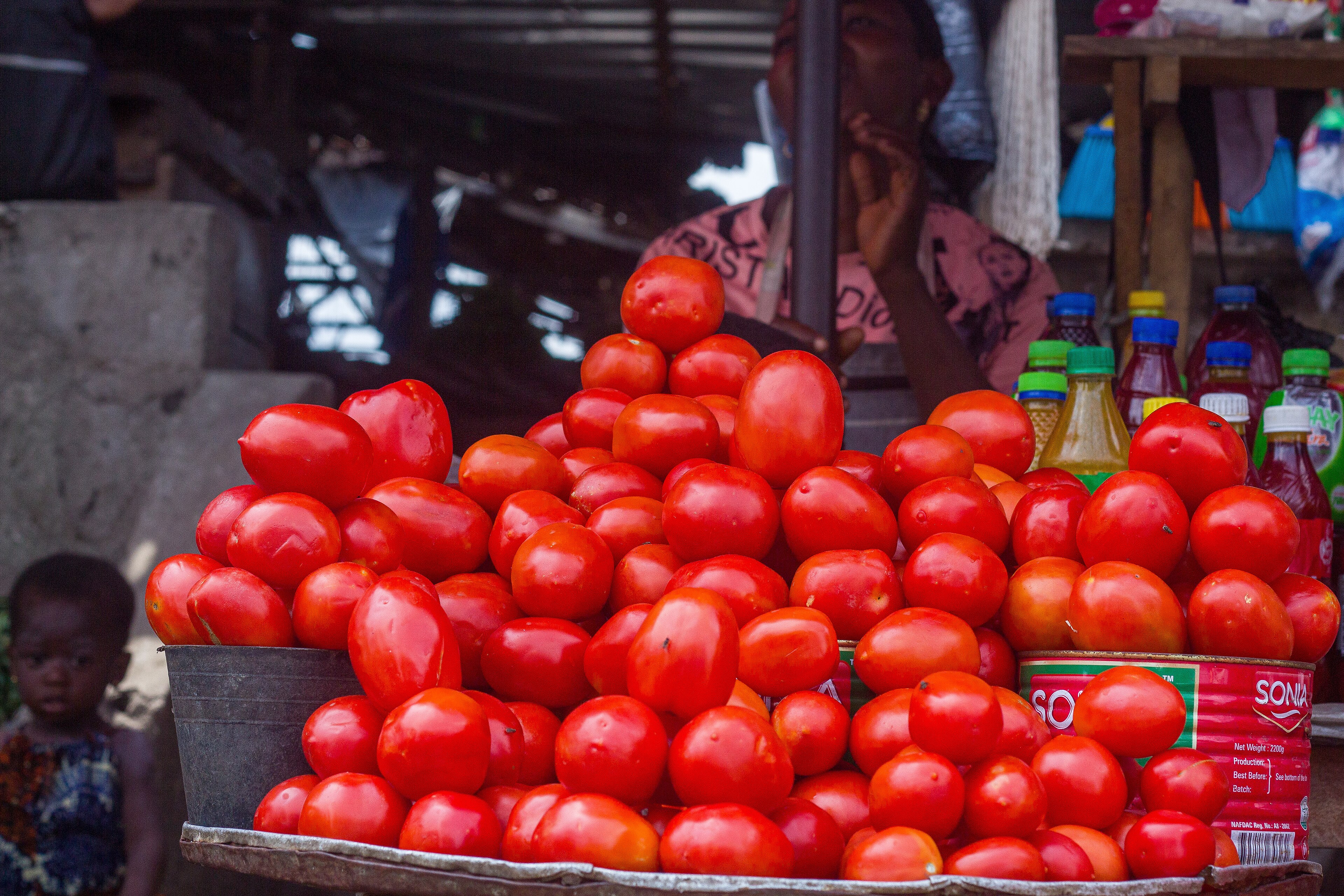 Why Tomato Supply Stays Unpredictable In Lagos