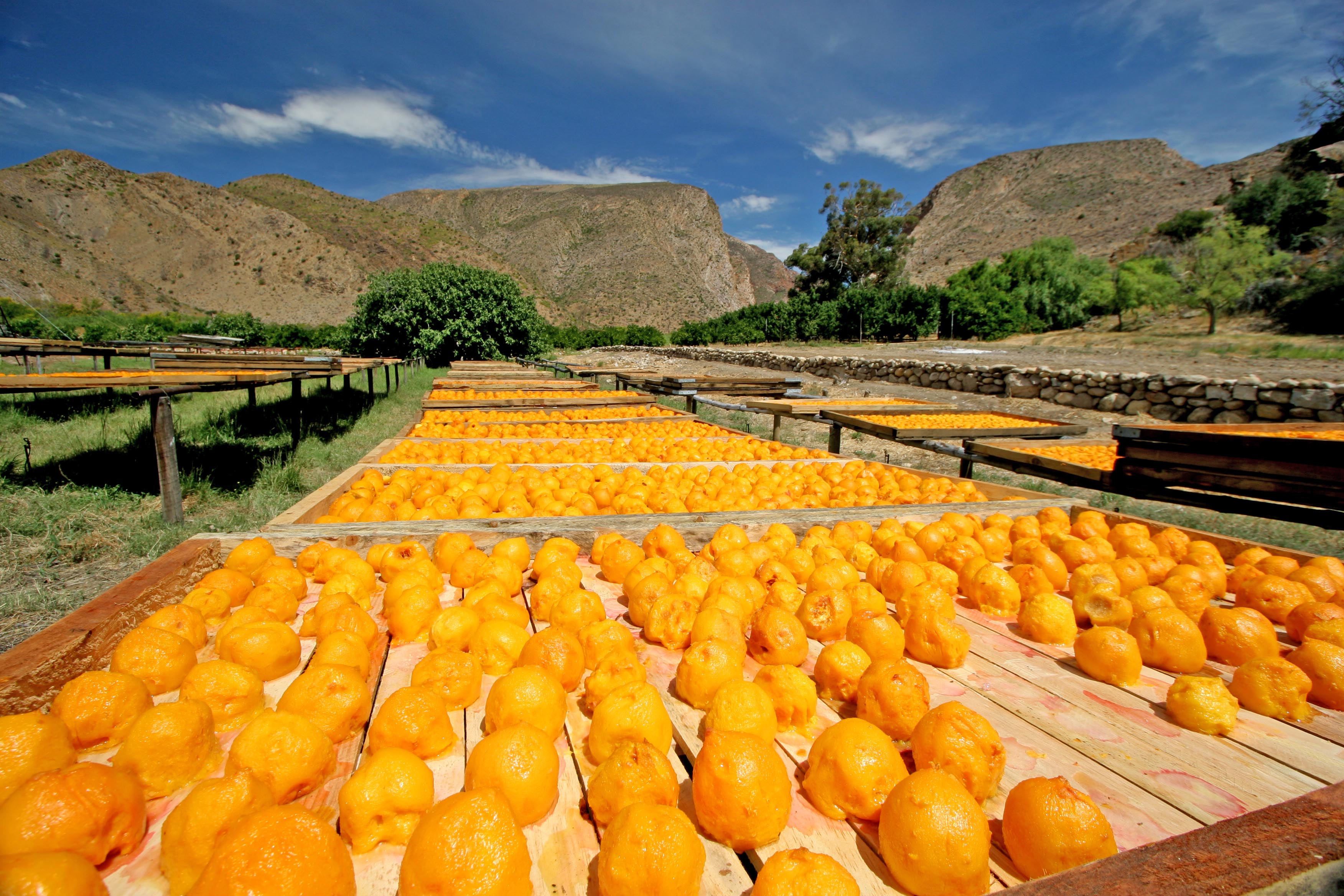 Nigeria Bets on Farm Tourism