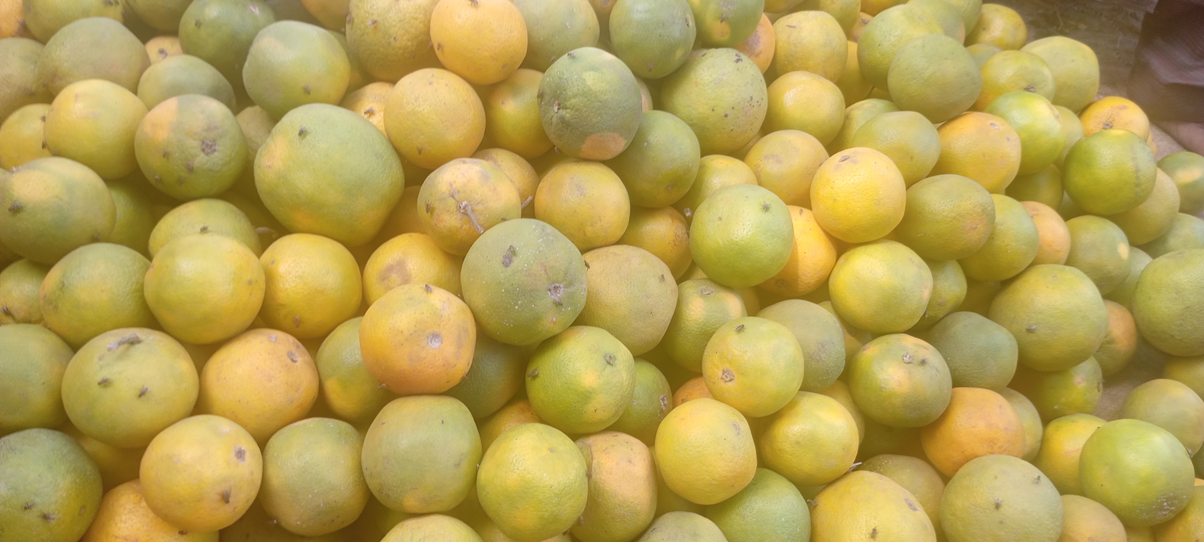 Nigeria Grows Oranges, Imports the Juice