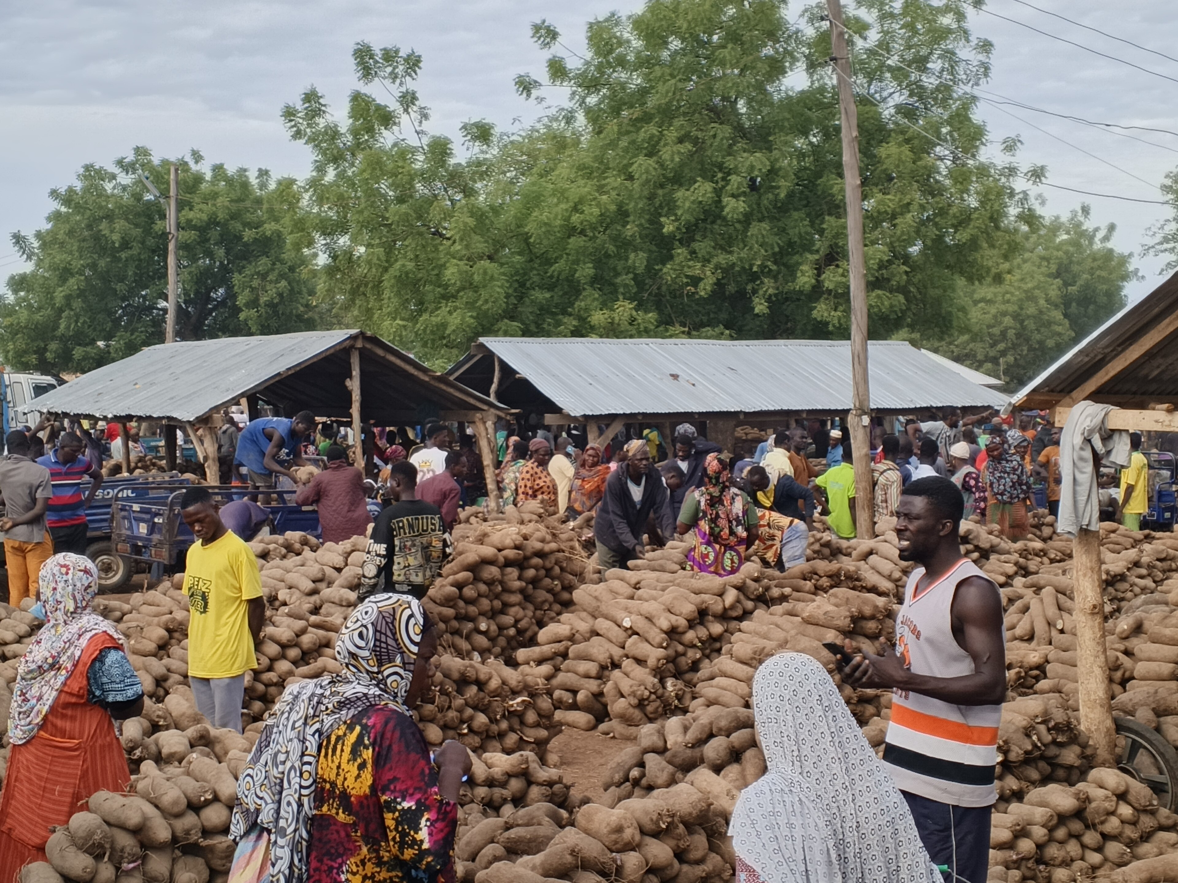 Two Yam Tubers at Epe Cost Less Than One at Ile-Epo This Week