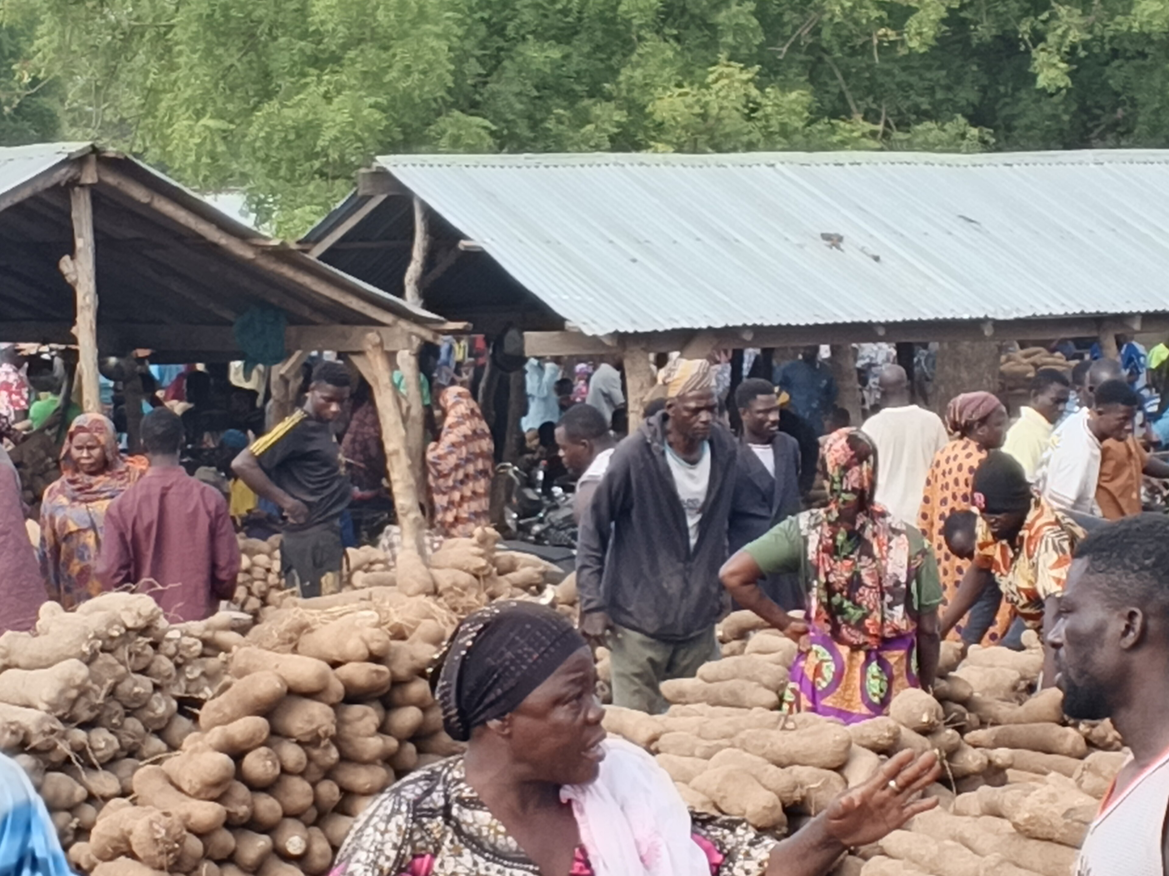 Yam Prices Drop Sharply in Lagos, Mean Falls 9.6% Even as Fuel Costs Surge