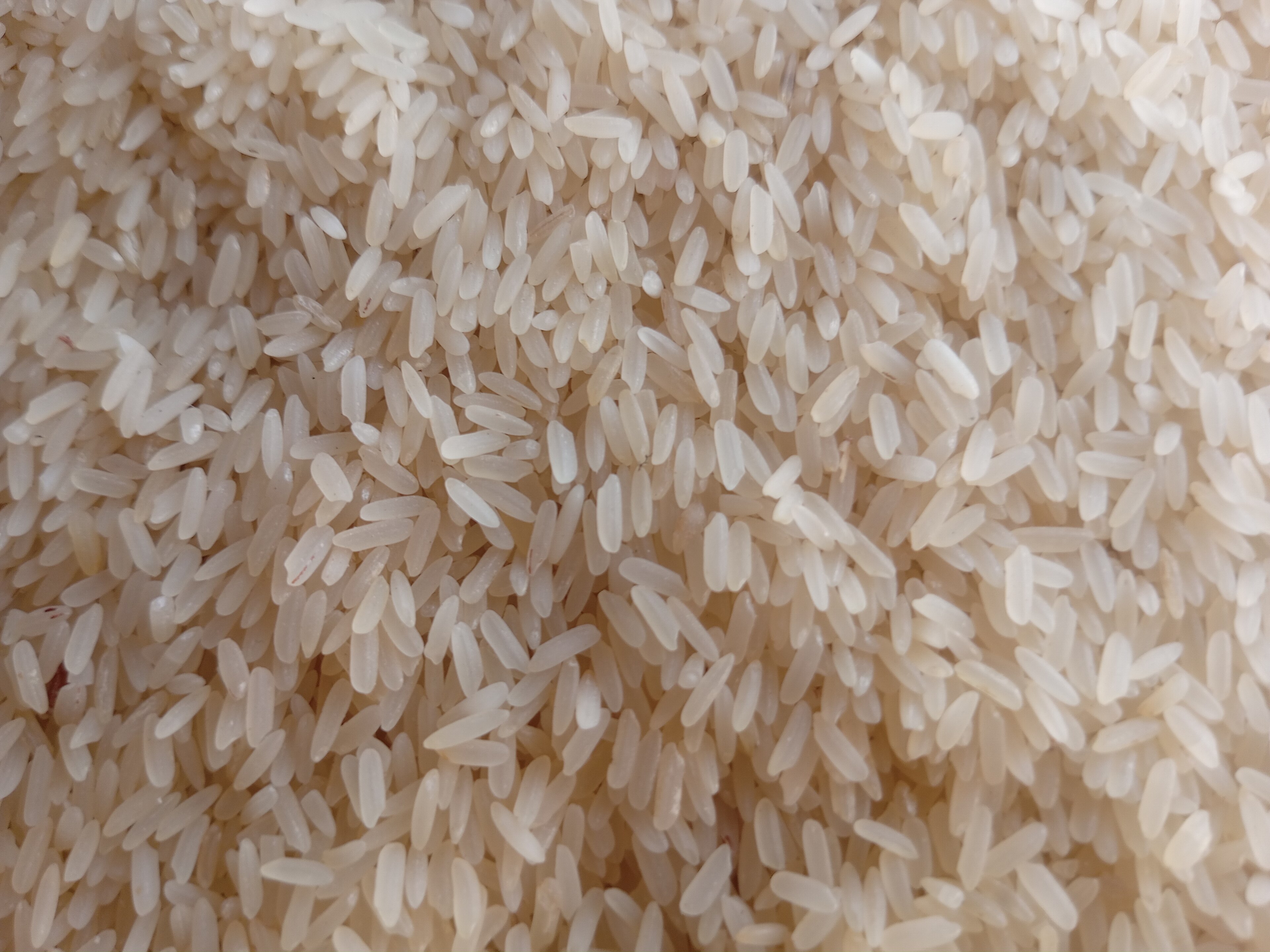 Imported Rice (Long Grain, 25kg Bag) Falls 3.8% in Lagos After July Tariff Cut