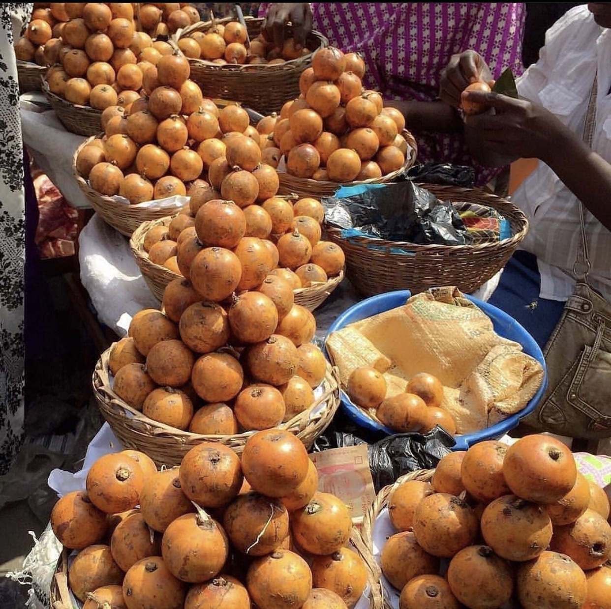 Agbalumo Rides a Diaspora Craze