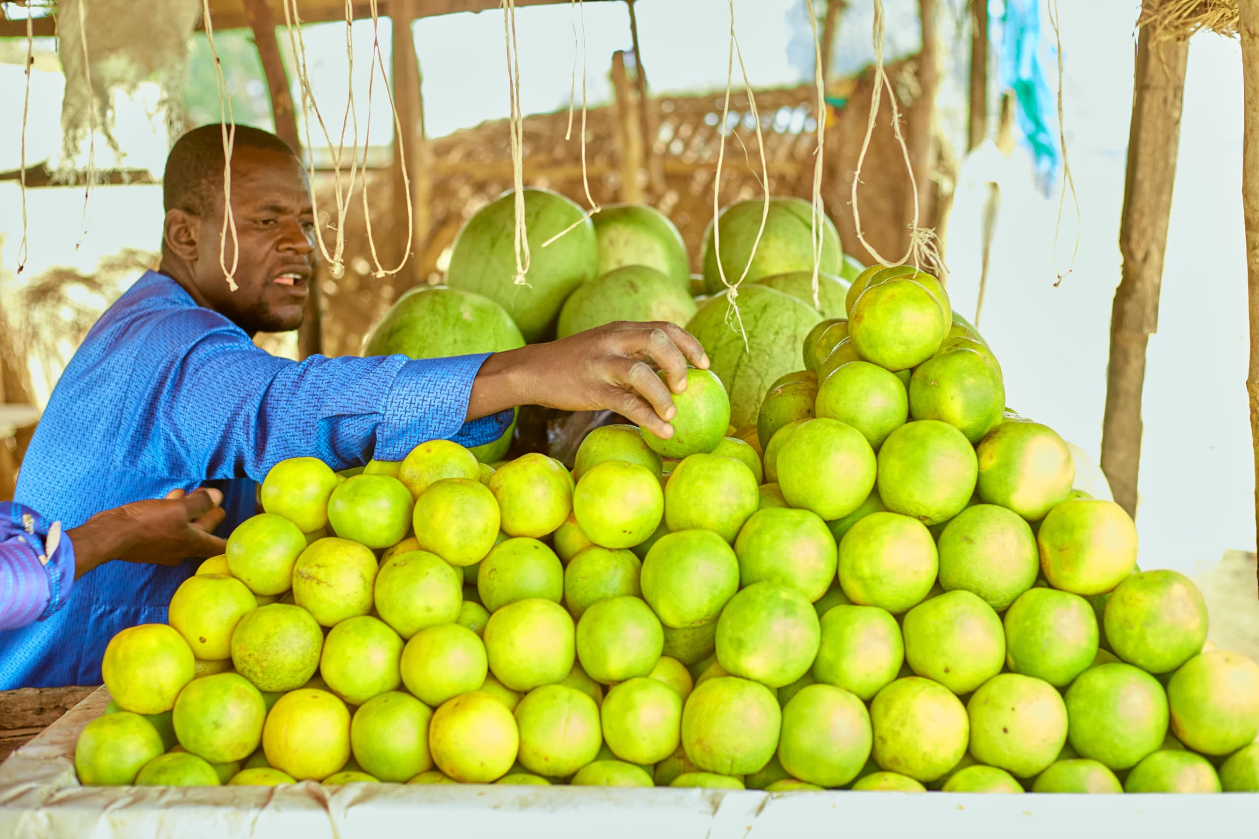 Nigeria Squeezes Little From Its Oranges