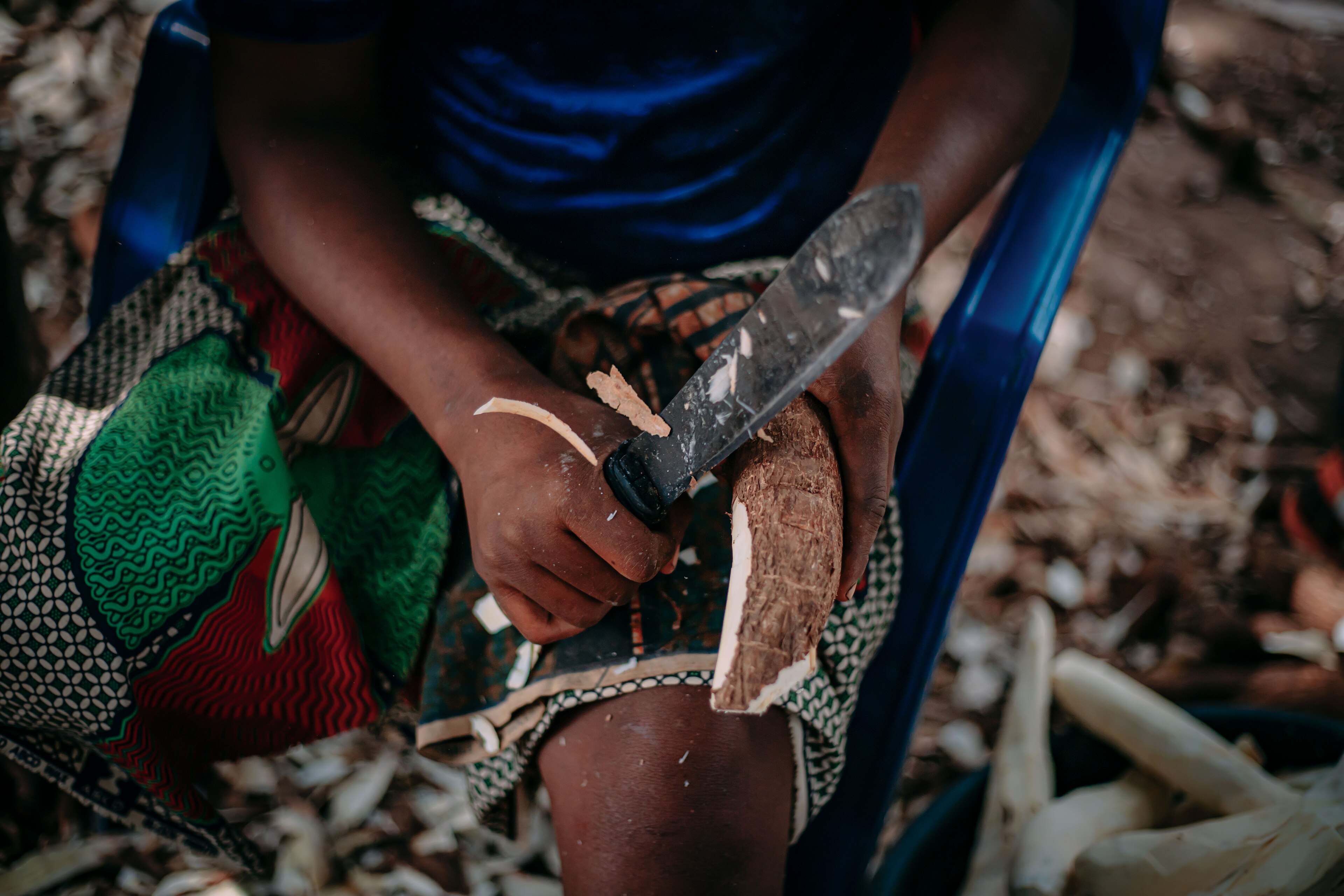 Cassava Peels Could Cut the Feed Bill