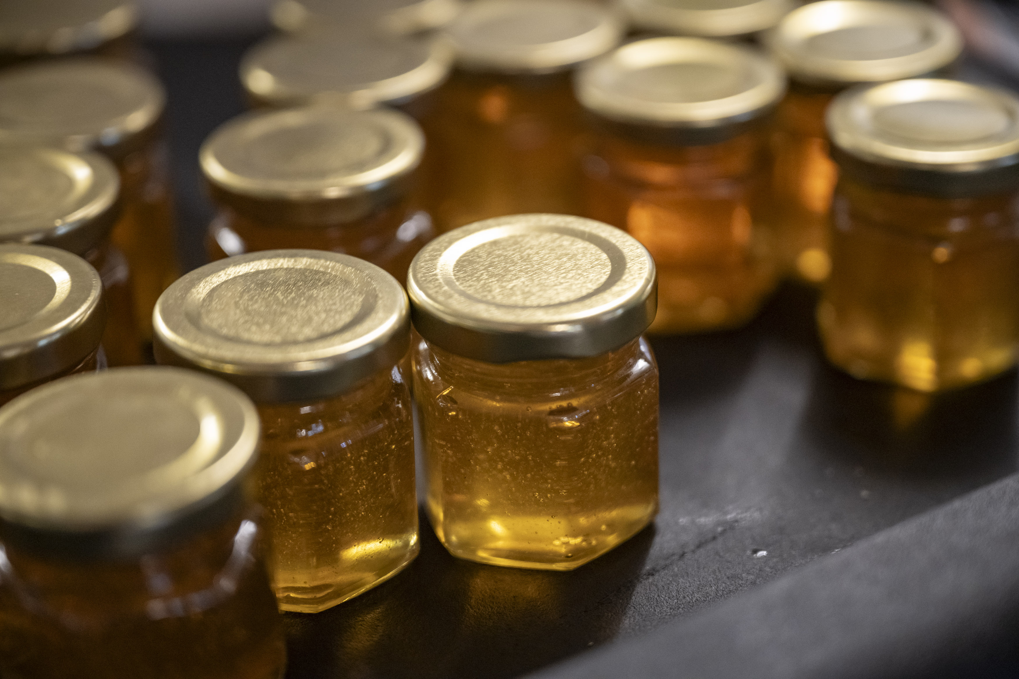 Nigeria Imports Its Honey, Eyes a Fix
