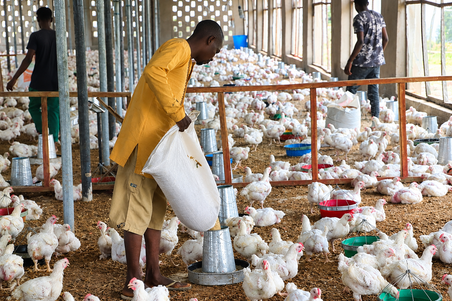 Livestock Minister Wants Single-Digit Farm Loans