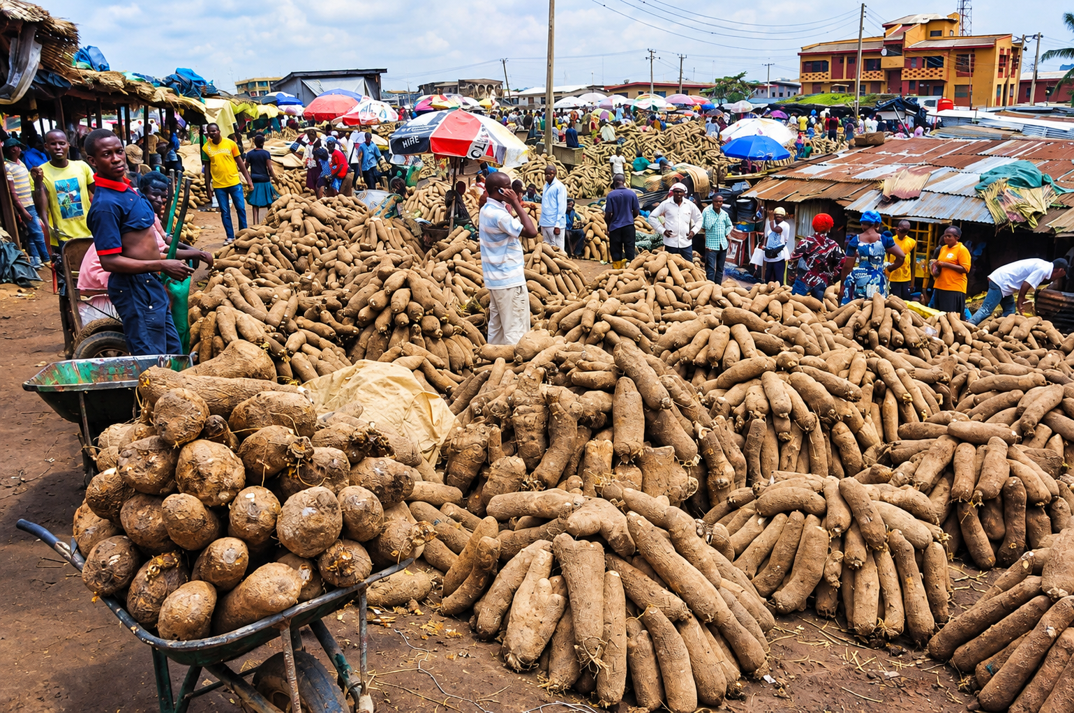 Medium-Sized Yam Leads Lagos Food Price Declines With 9.6% Drop