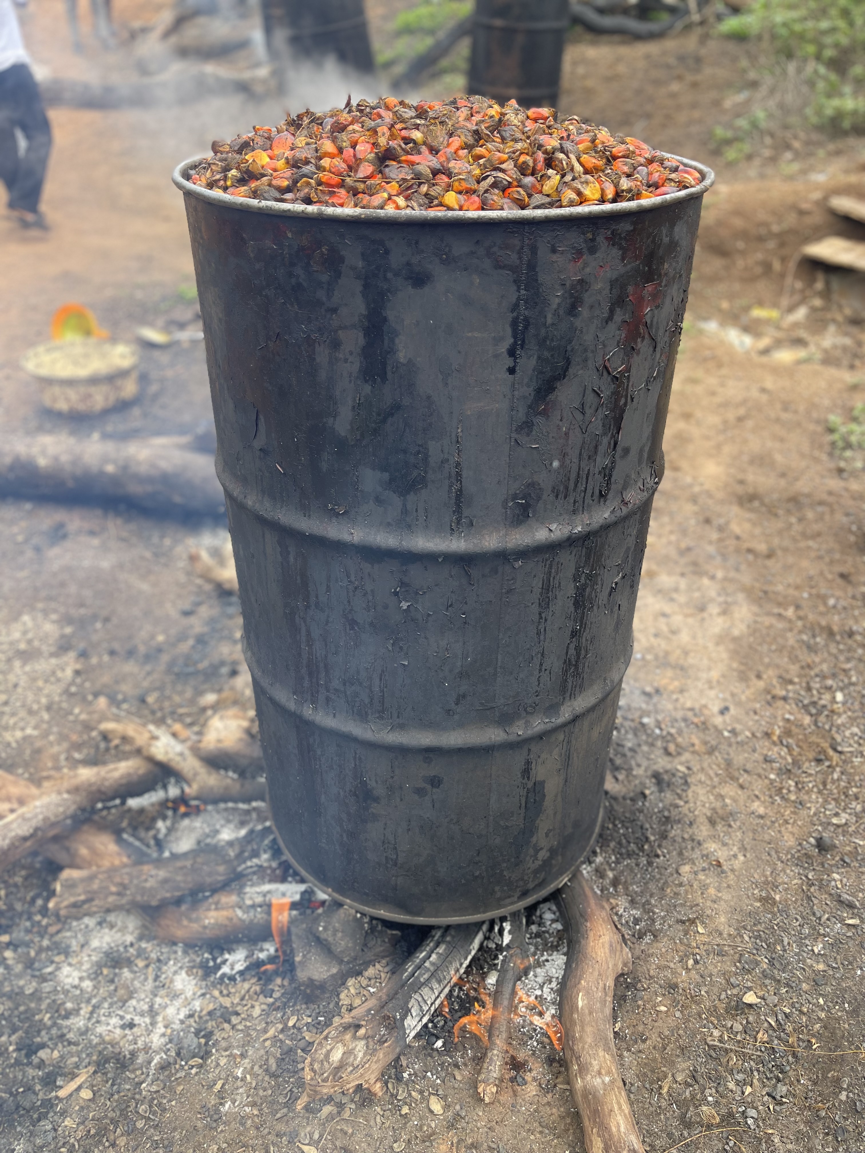 Nigeria Undersells Its Palm Kernel Oil