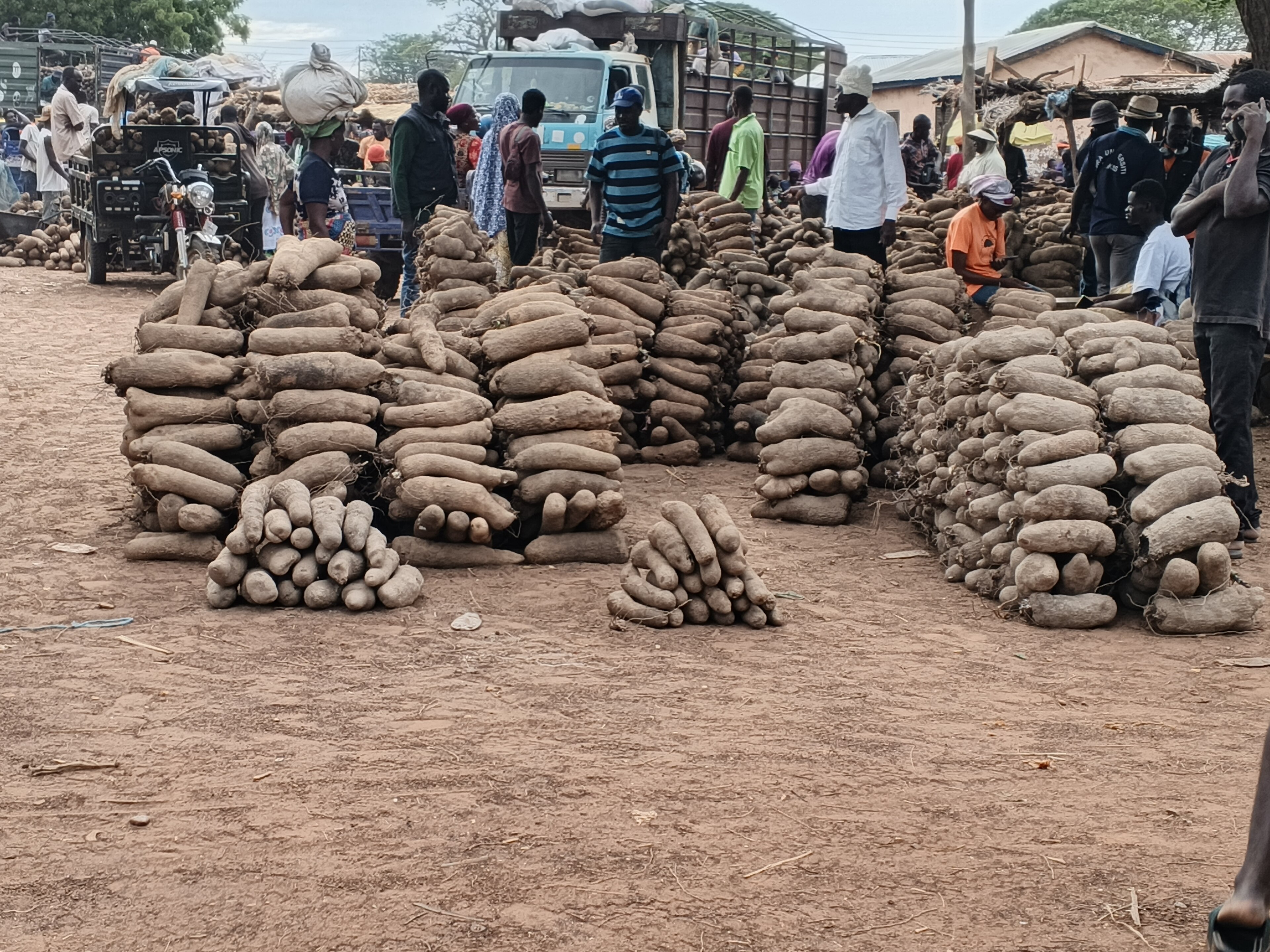 Yam Prices Drop Sharply in Lagos, Mean Falls 9.6% Against the Year's Rising Trend