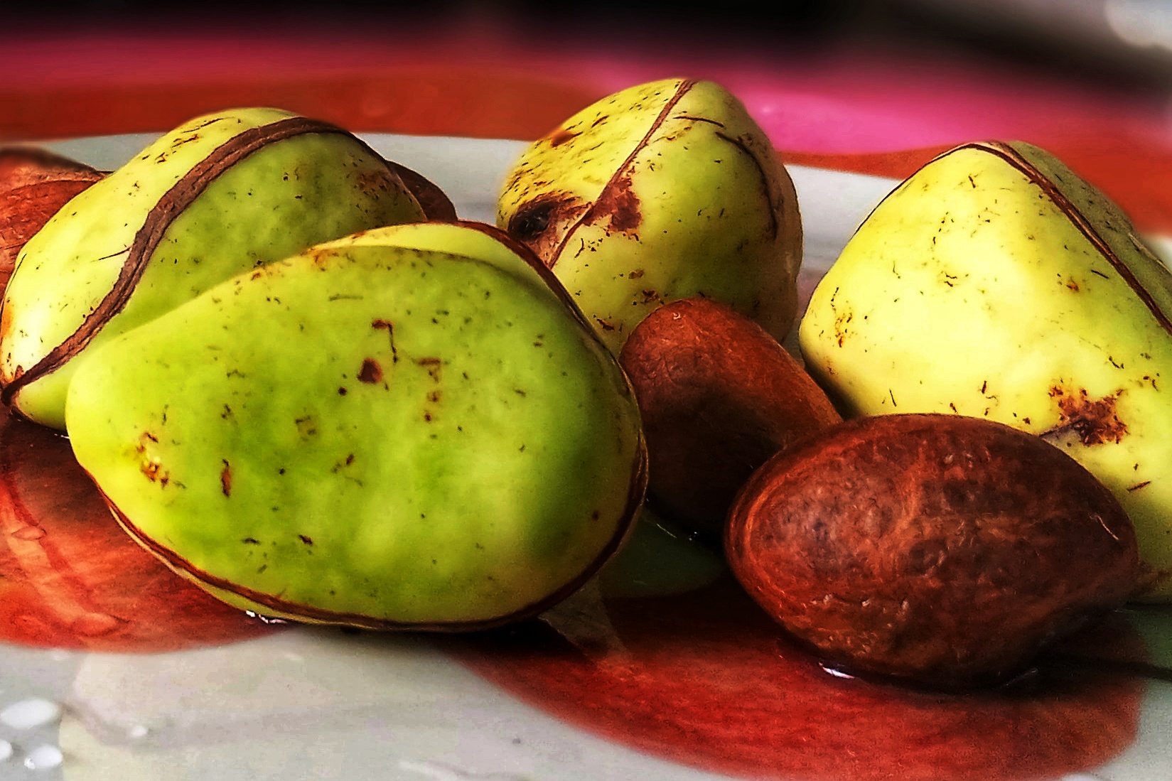 Nigeria Grows the World's Kola, Sells Little