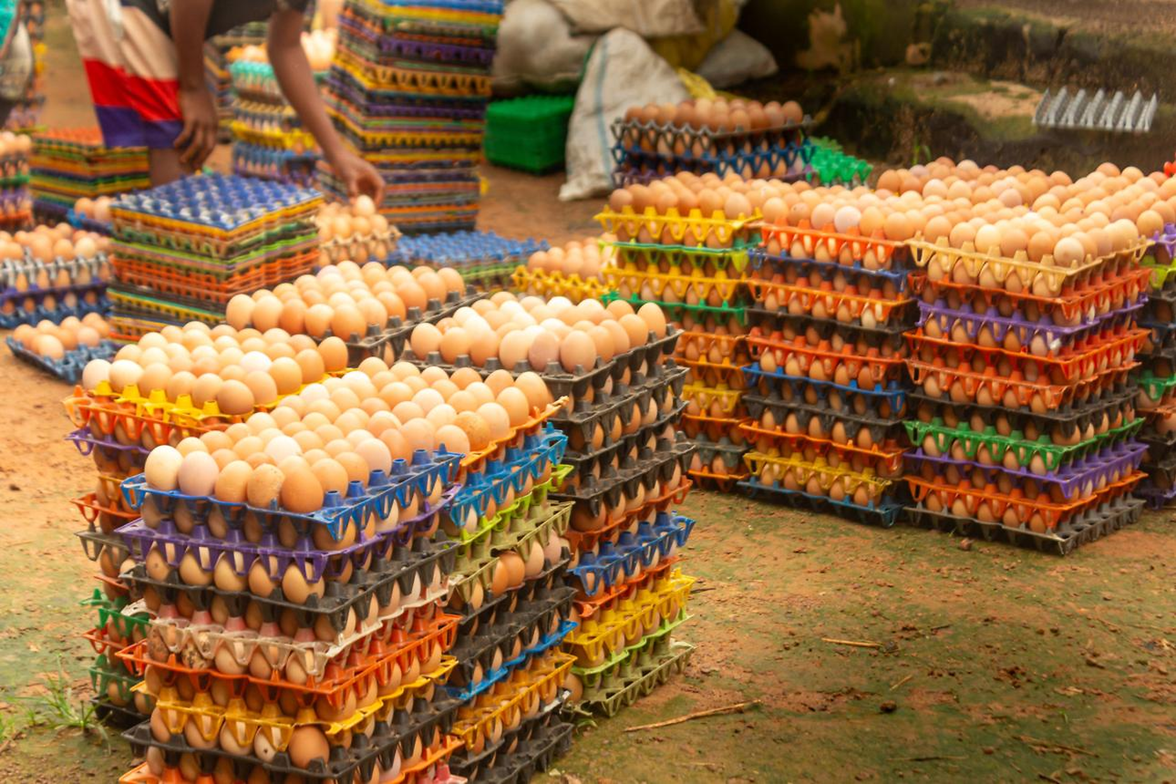 Lagos Egg Prices Fall 3.1% As Crate Average Drops To ₦5,560