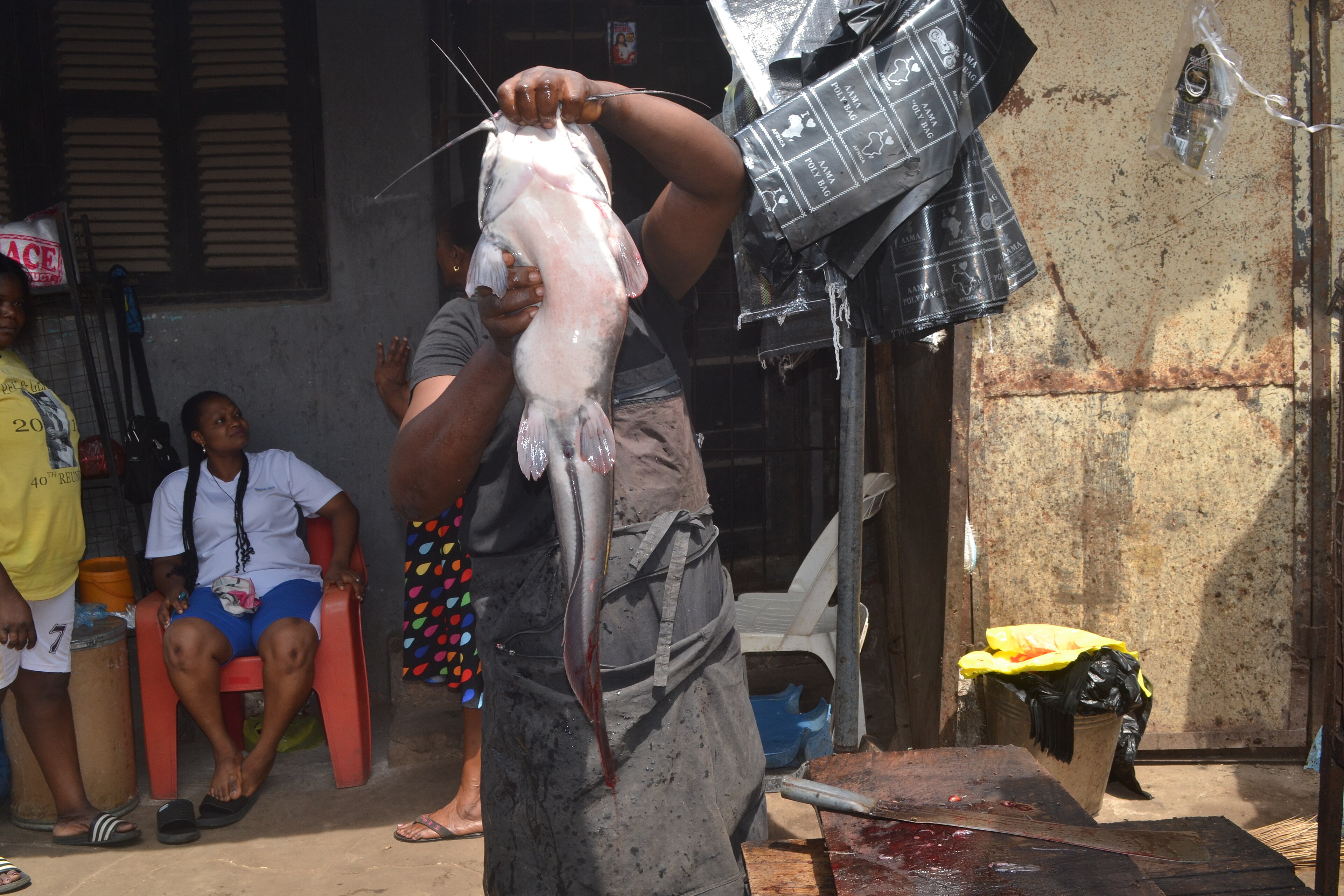 A Cheap Protein Nigeria Barely Raises