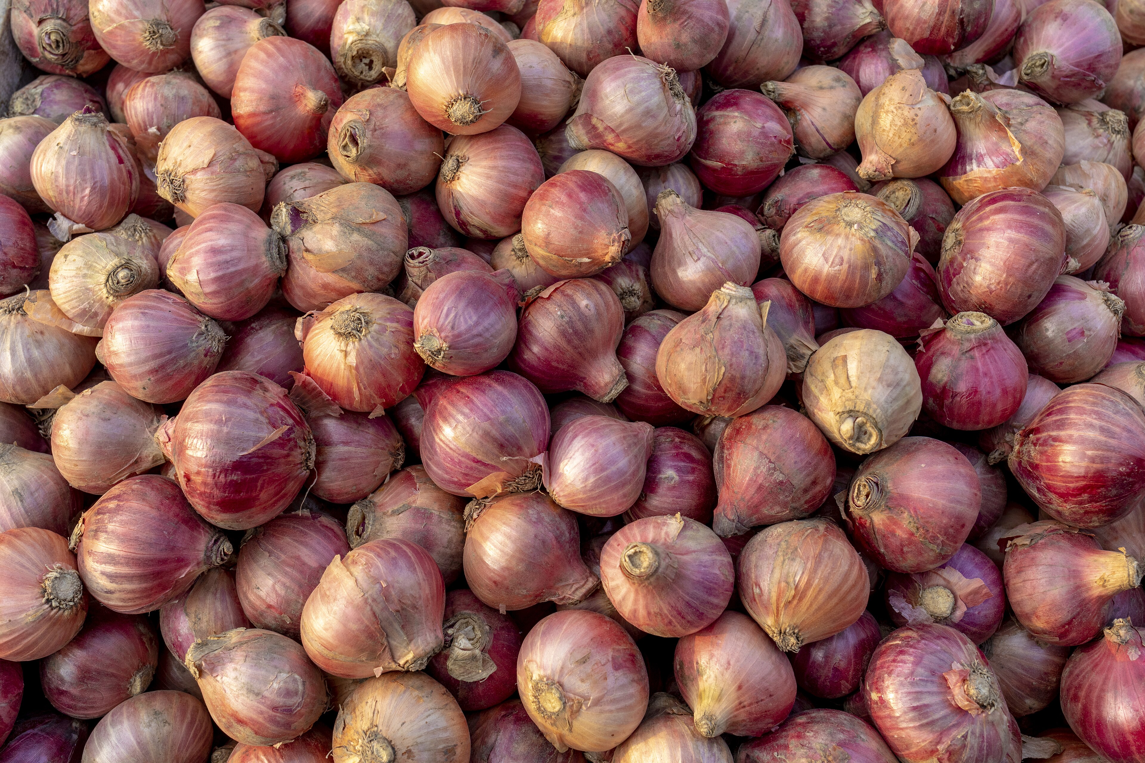 Ghana Frees Nigeria's Onion Trucks