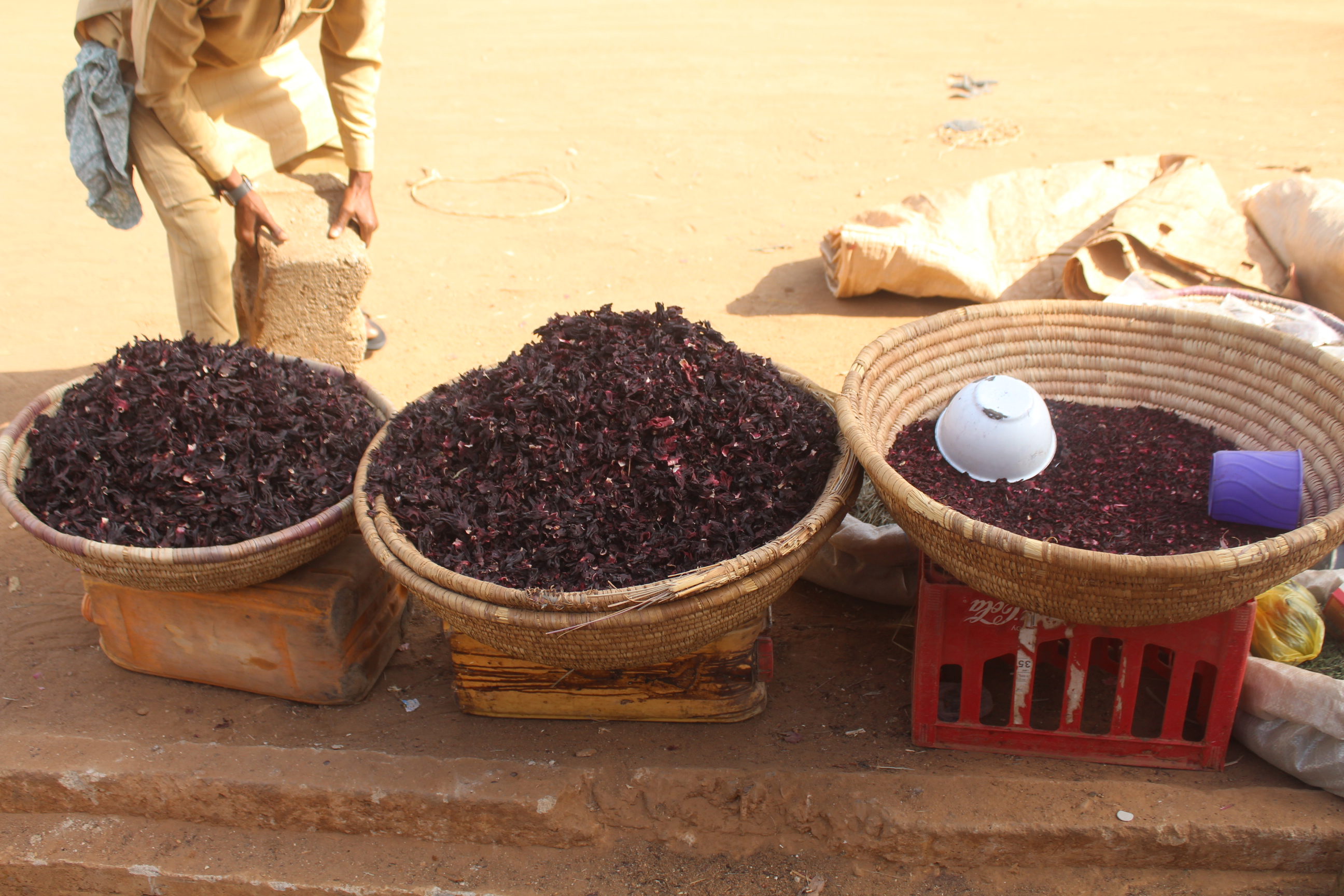Nigeria's Flowers Find Foreign Buyers