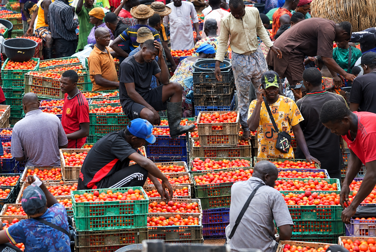 Lagos Harvest Glut Has an Expiry Date
