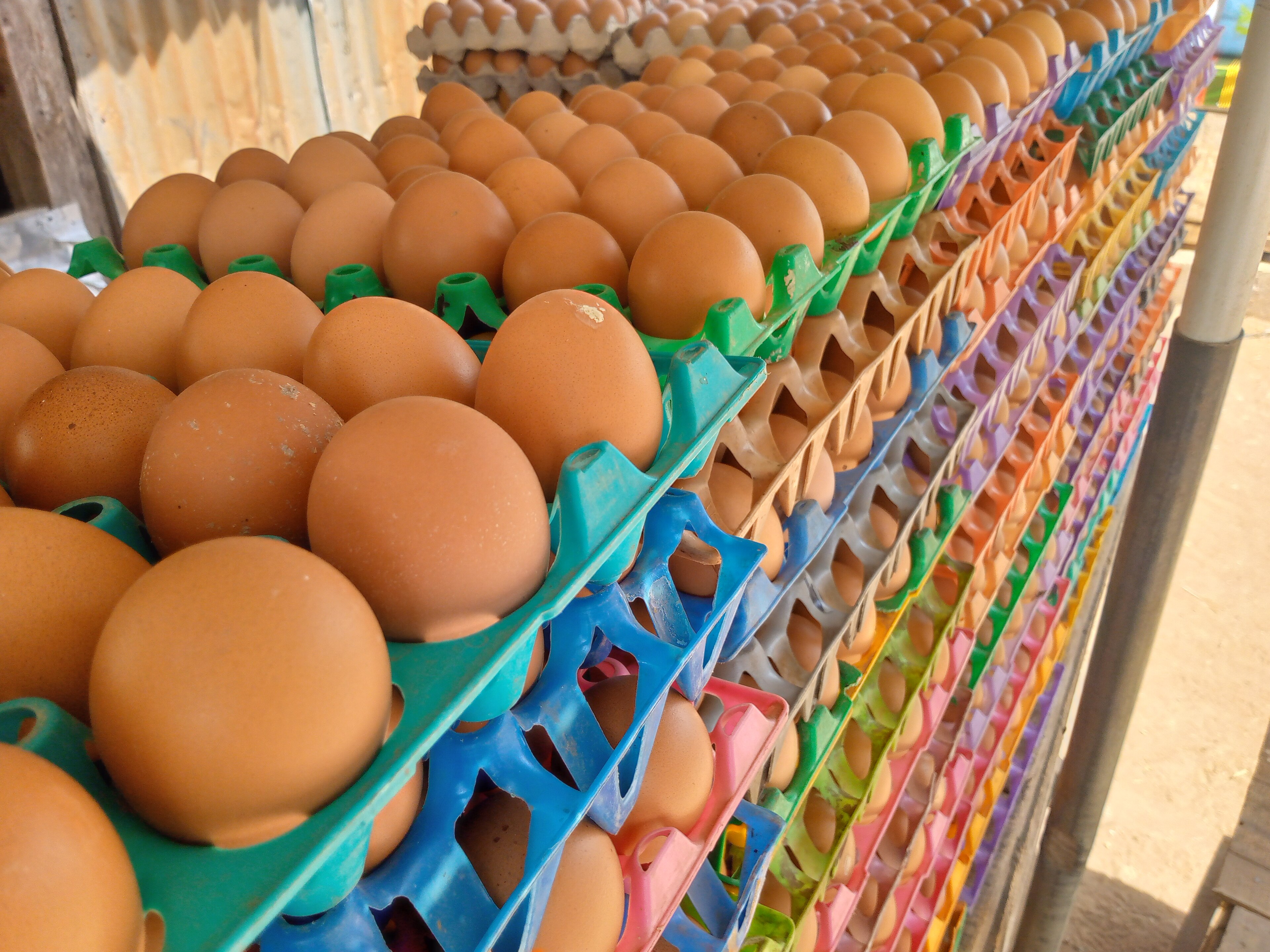 Egg Crates Ease to ₦5,400 in Lagos
