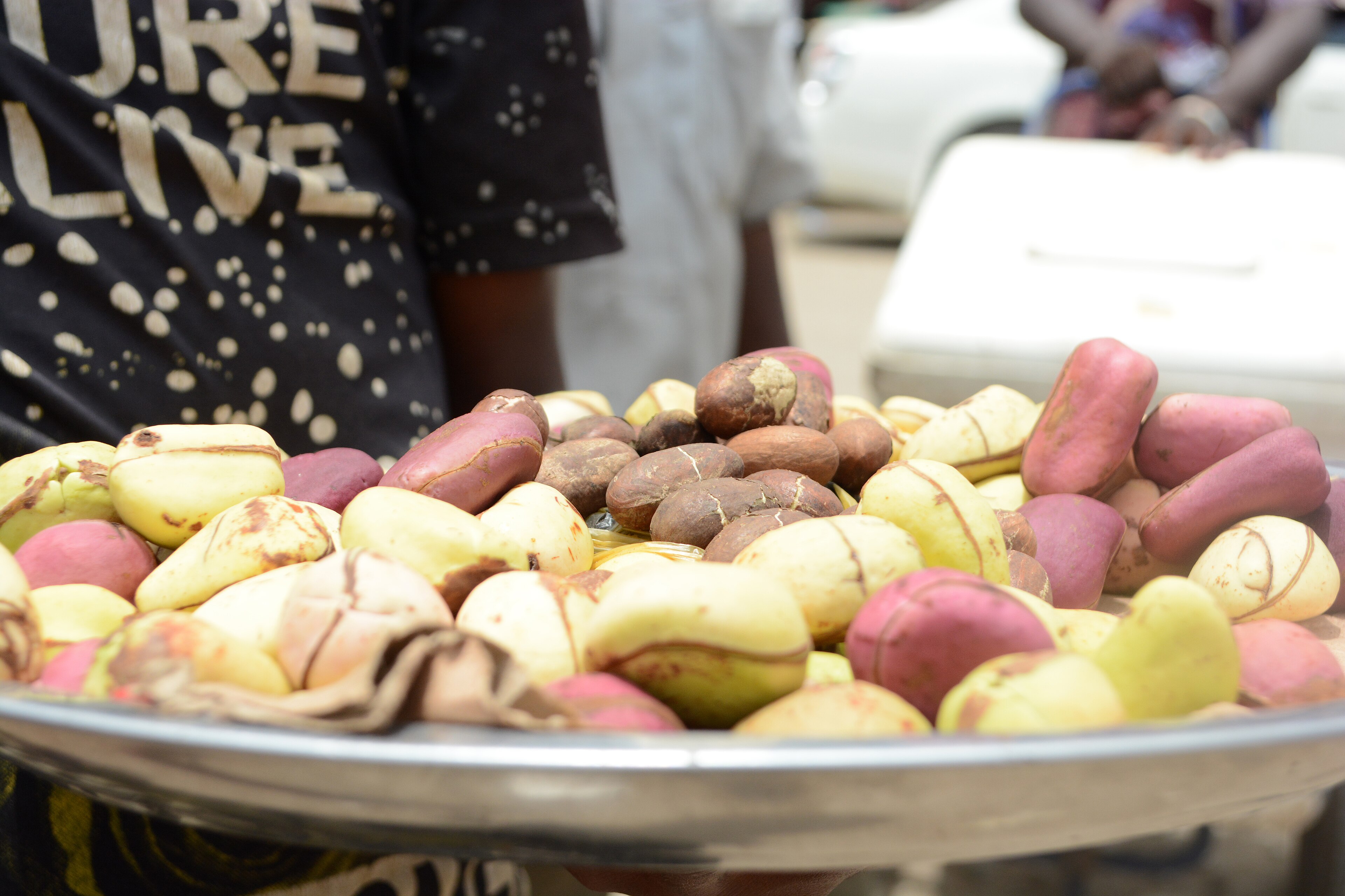 Bitter Kola, a Wonder Nut Undersold