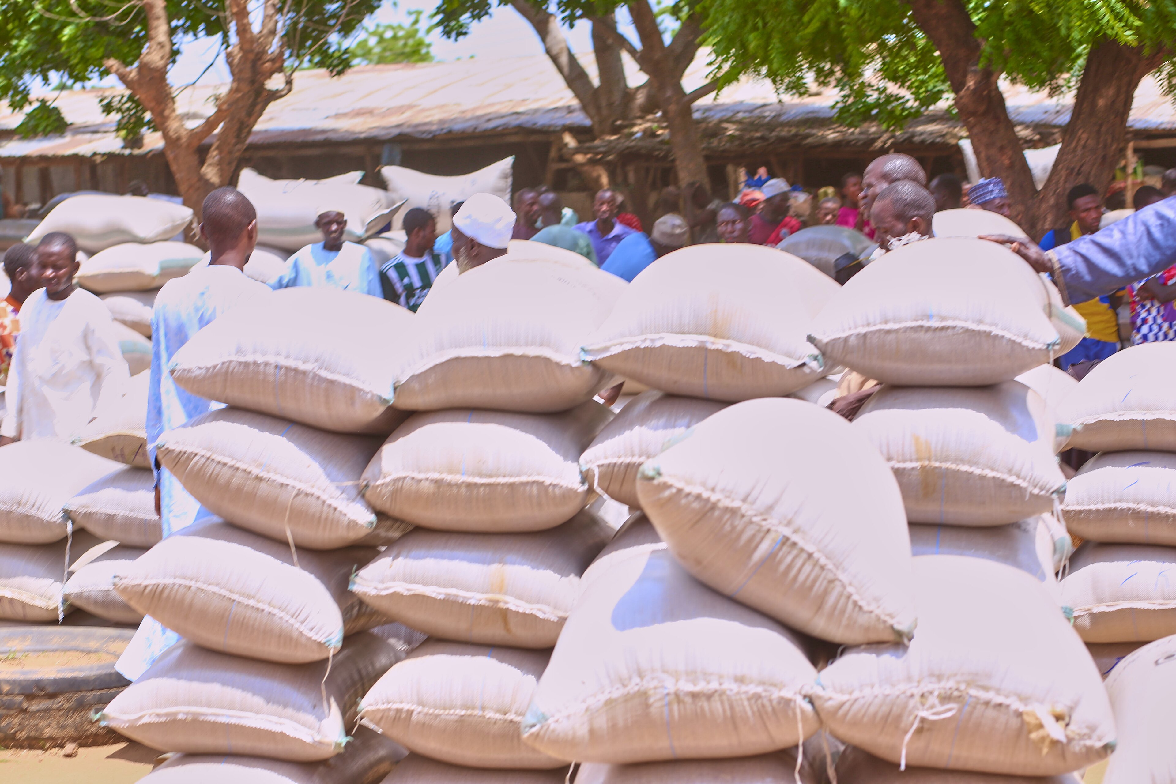 Nigeria Bags Its Crops in Imported Sacks