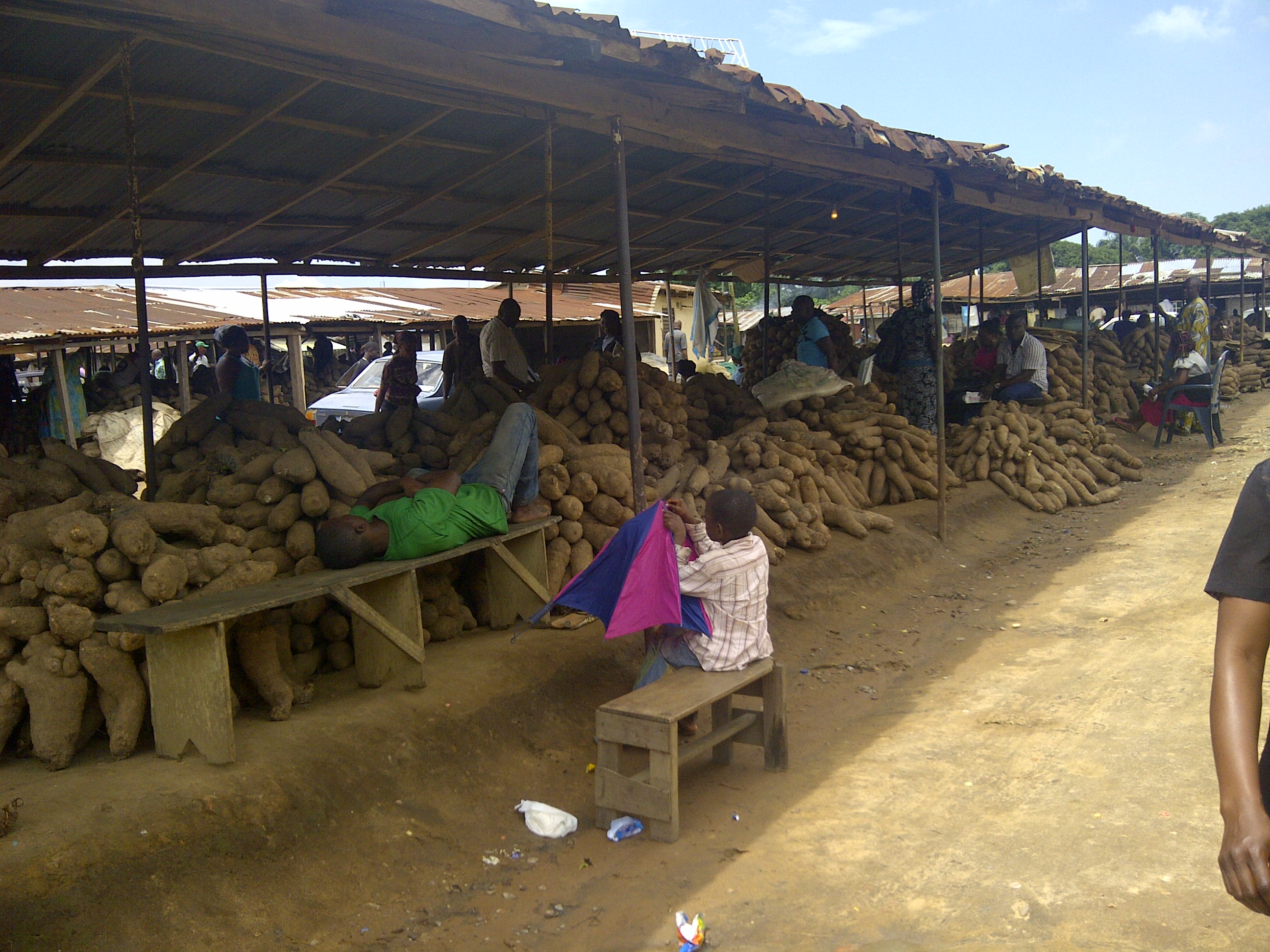 Yam Prices Drop Sharply in Lagos, Mean Falls 9.6% Even as Freight Costs Climb