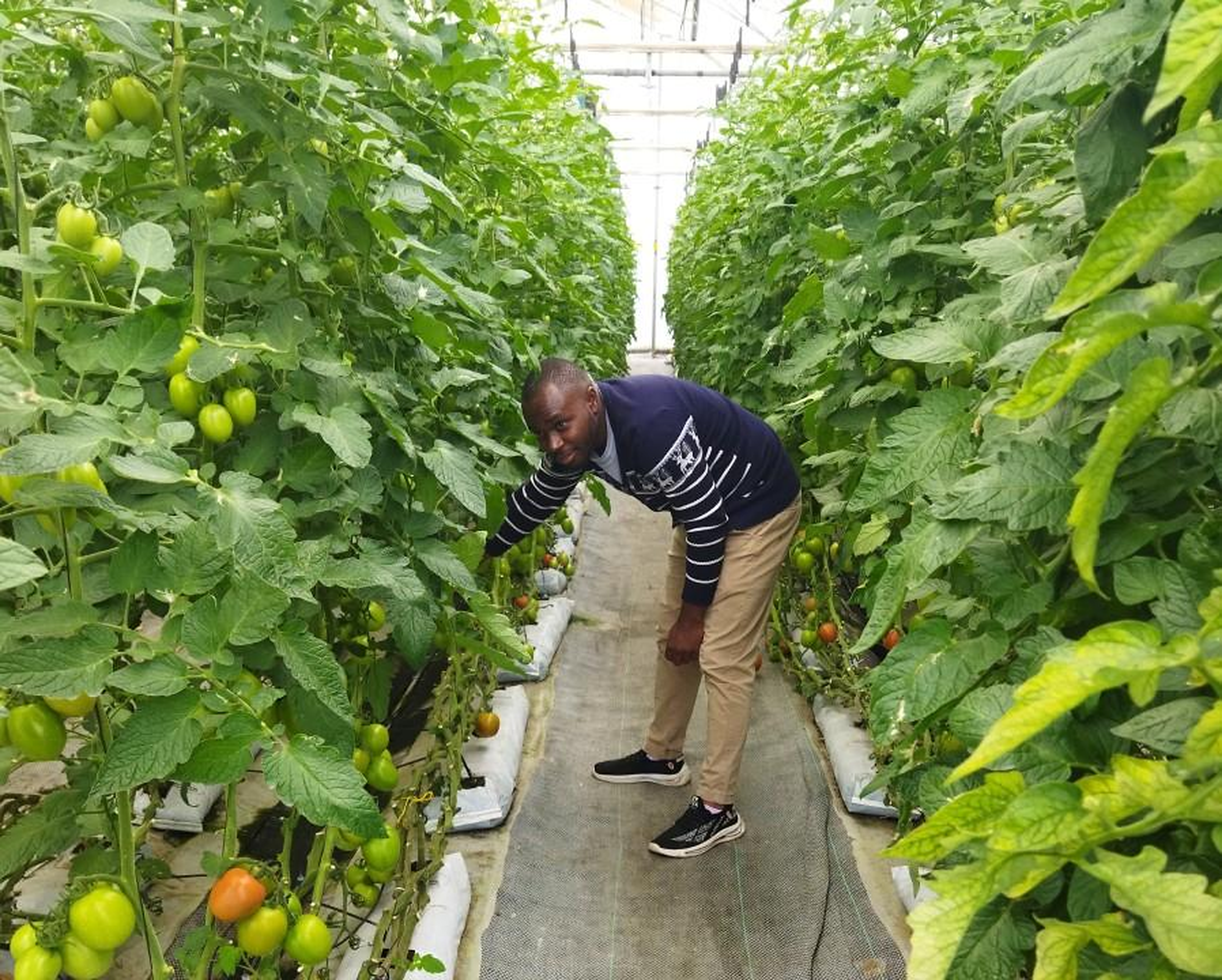 Nigeria Learns to Farm Without Soil