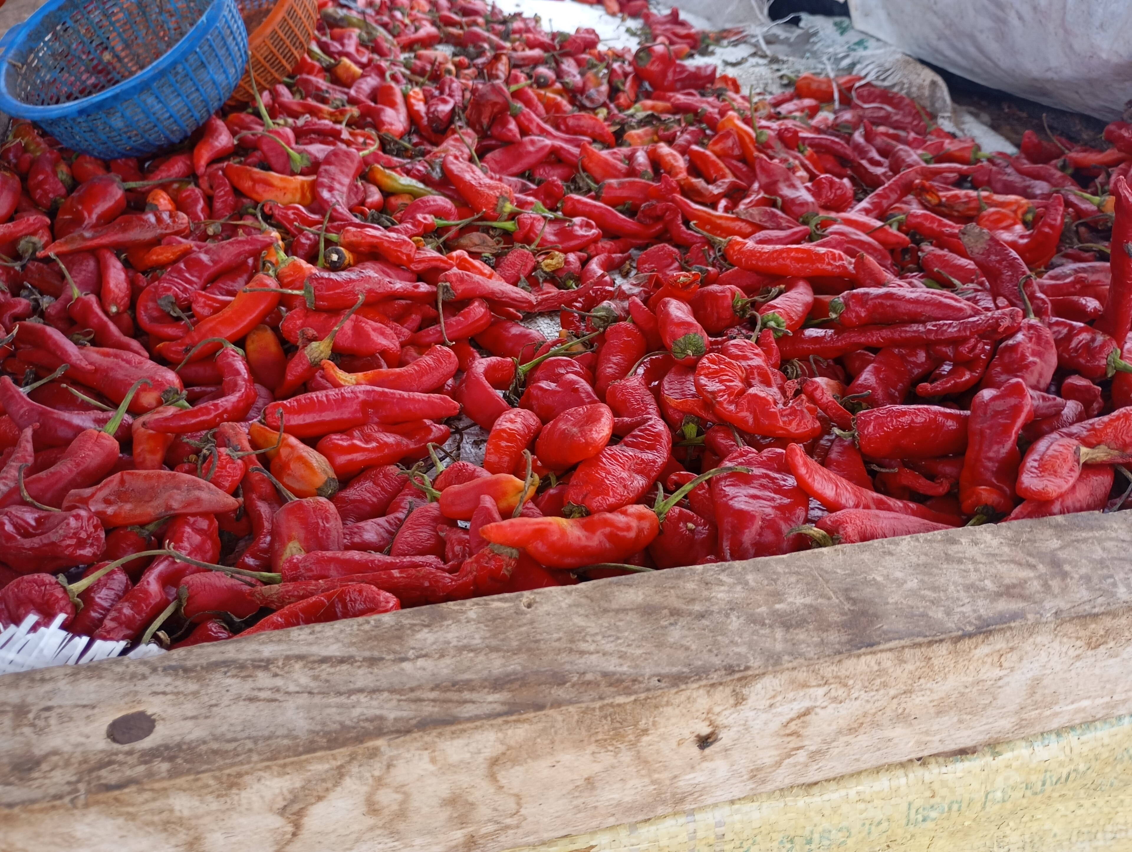 Tatashe Slides 5.6% to ₦3,560 Per Kilogramme