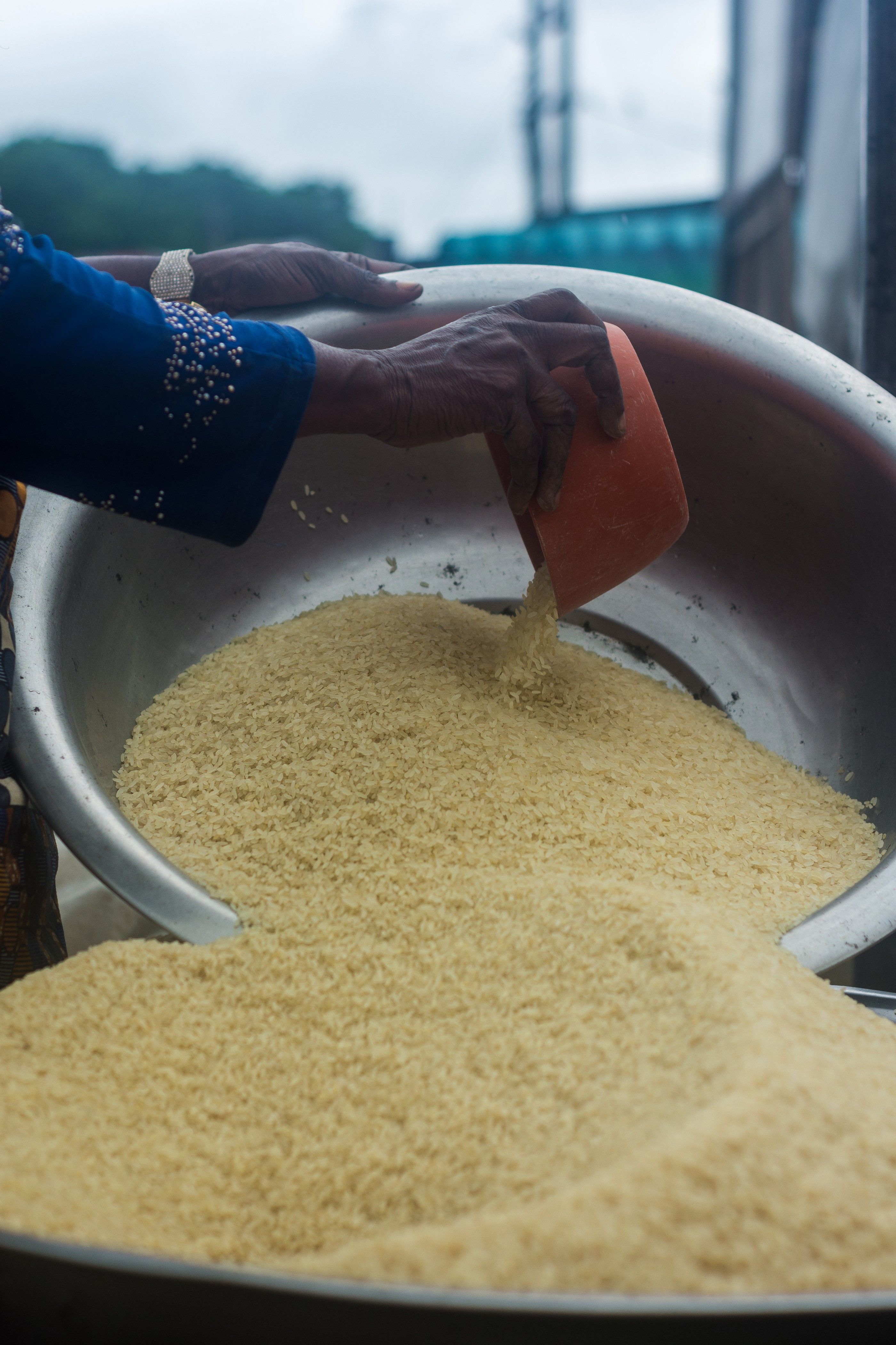 The Cheapest Paint of Rice in Lagos Just Got Dearer: Short Grain Hits ₦4,839