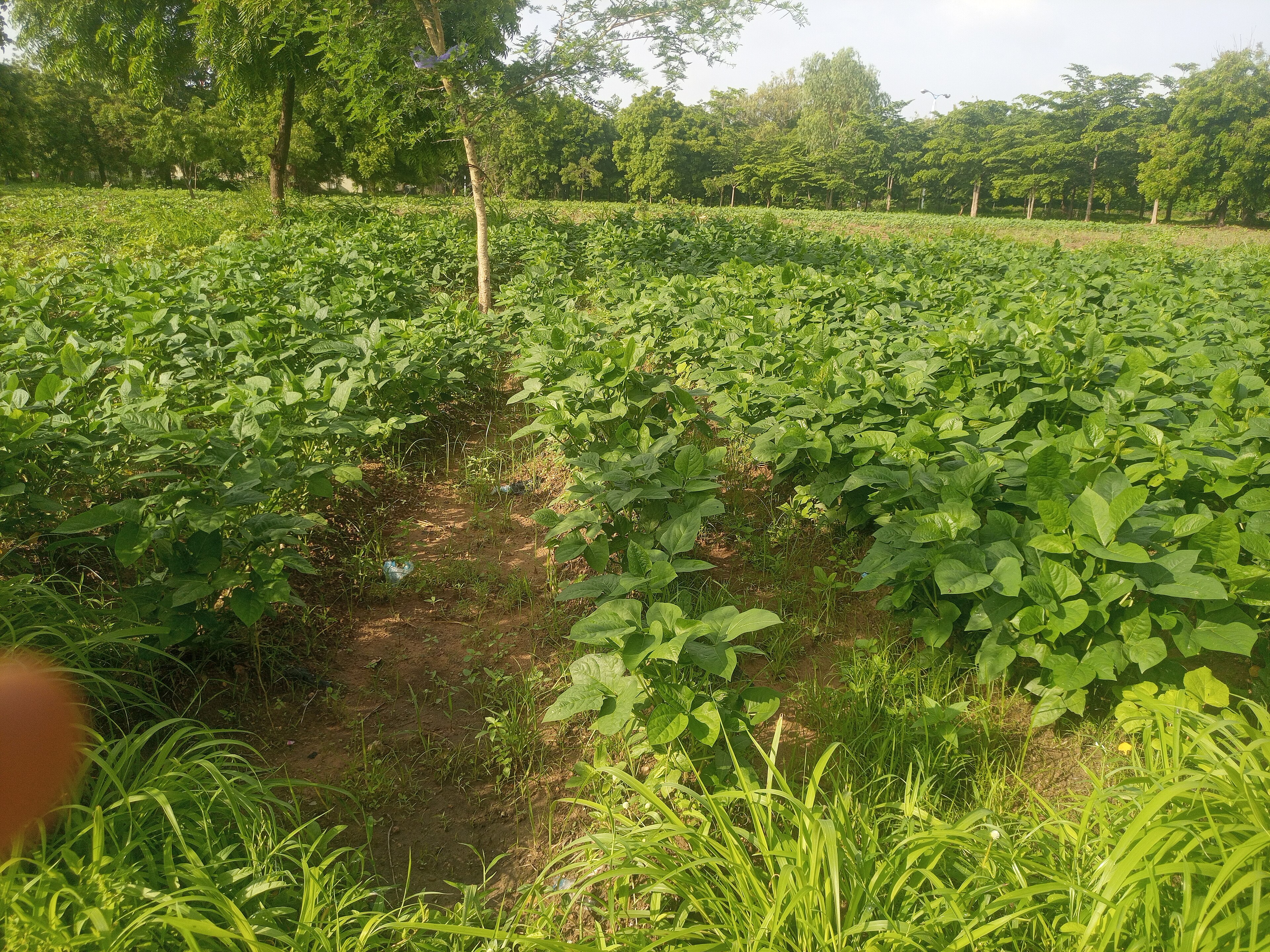 The South East Bets Capital on Farm Startups
