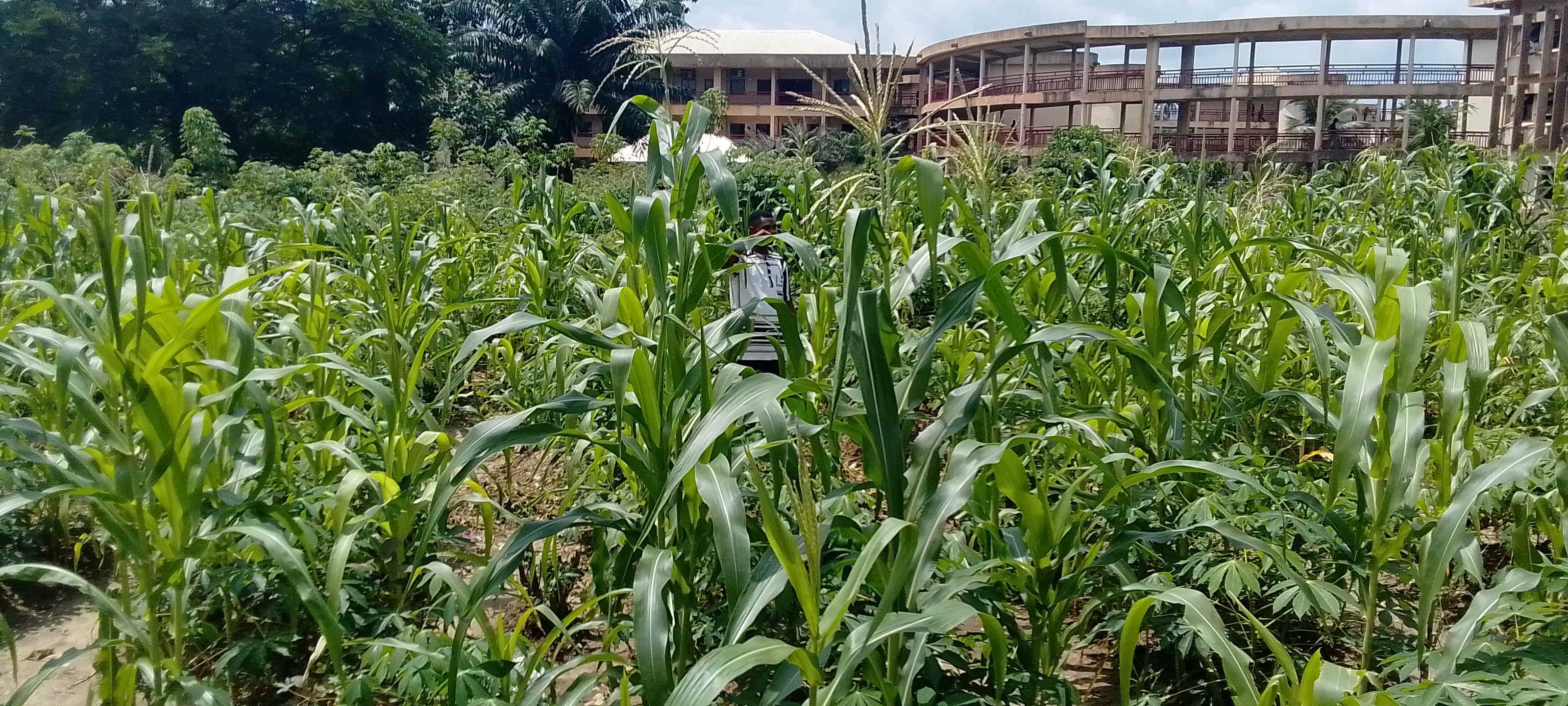 A Data Pact to Sharpen Farm Spending