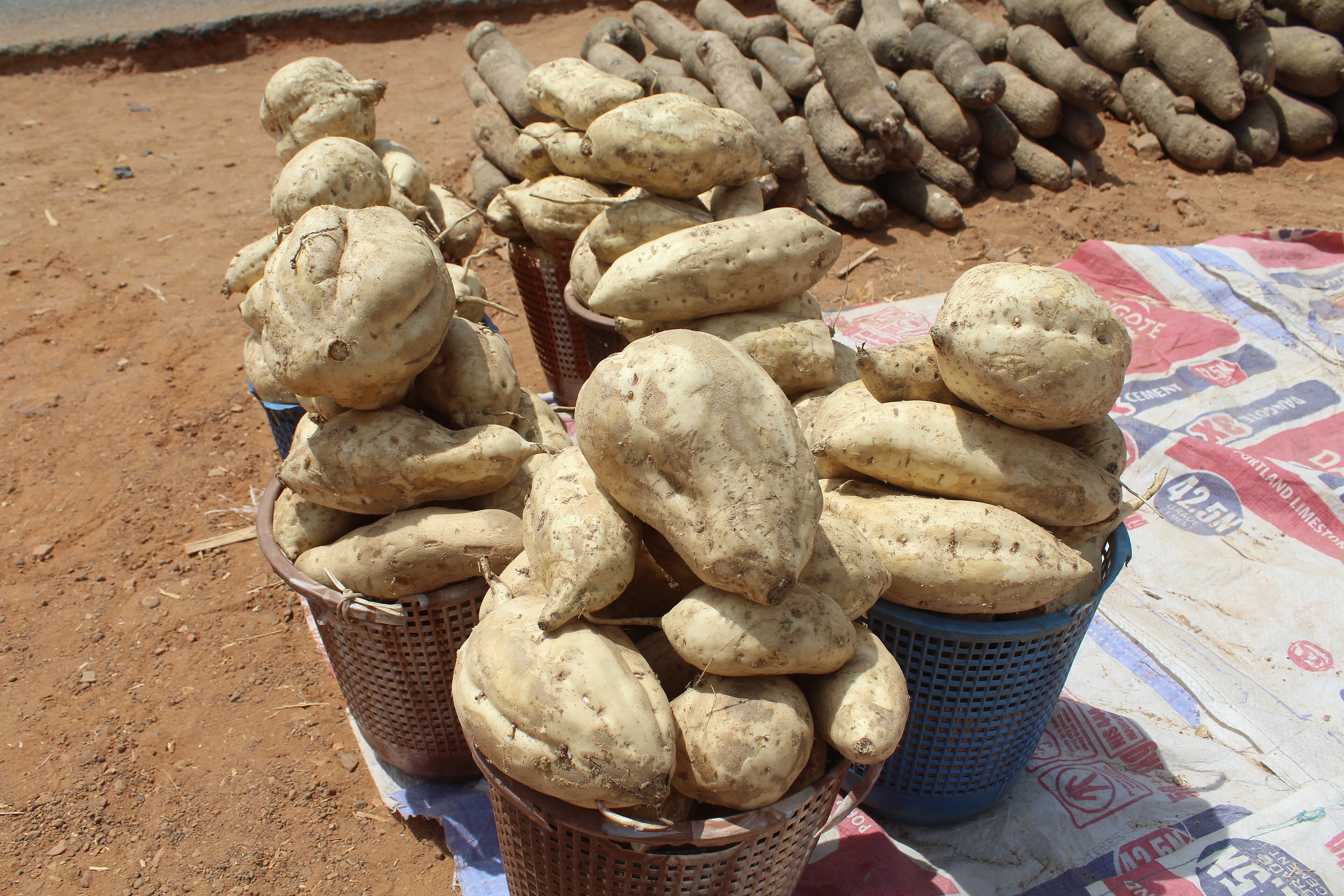 Sweet Potatoes Slip 2.6% Across Lagos