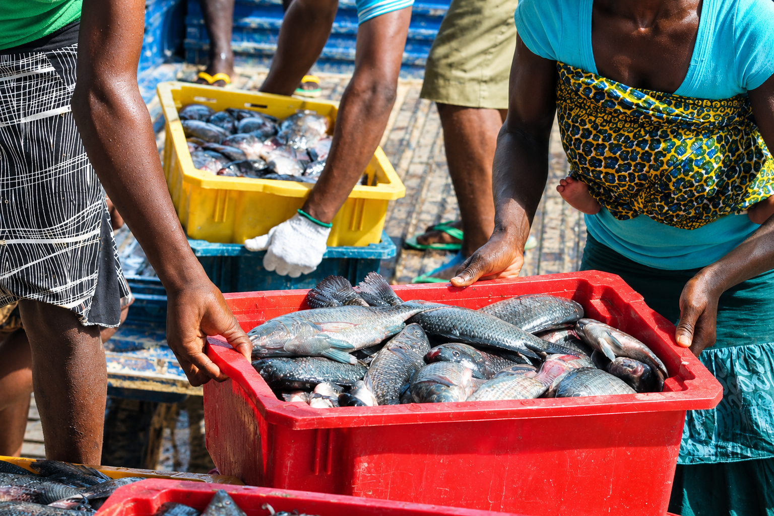 Nigeria's Seafood Sails Into China