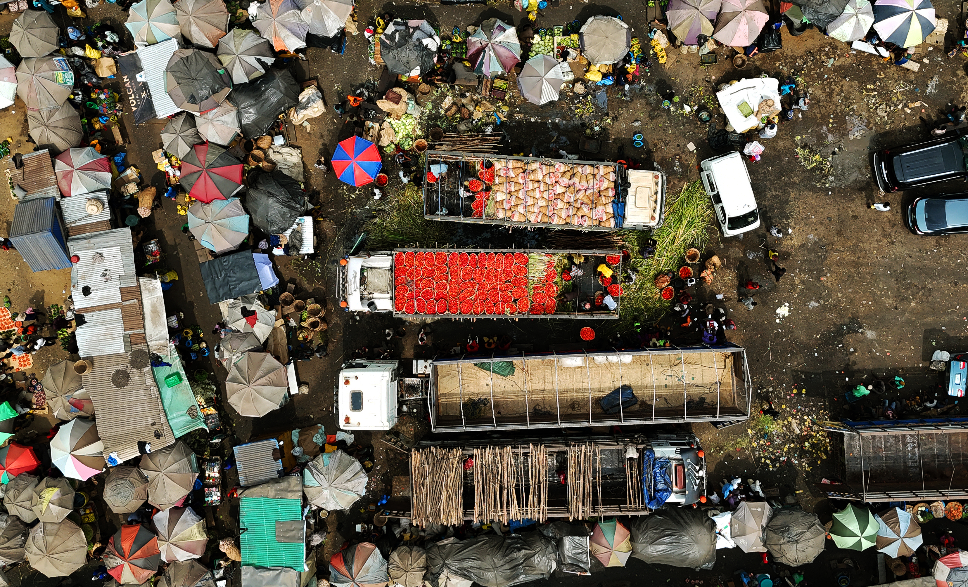 Nigeria Pushes to Fortify Every Staple