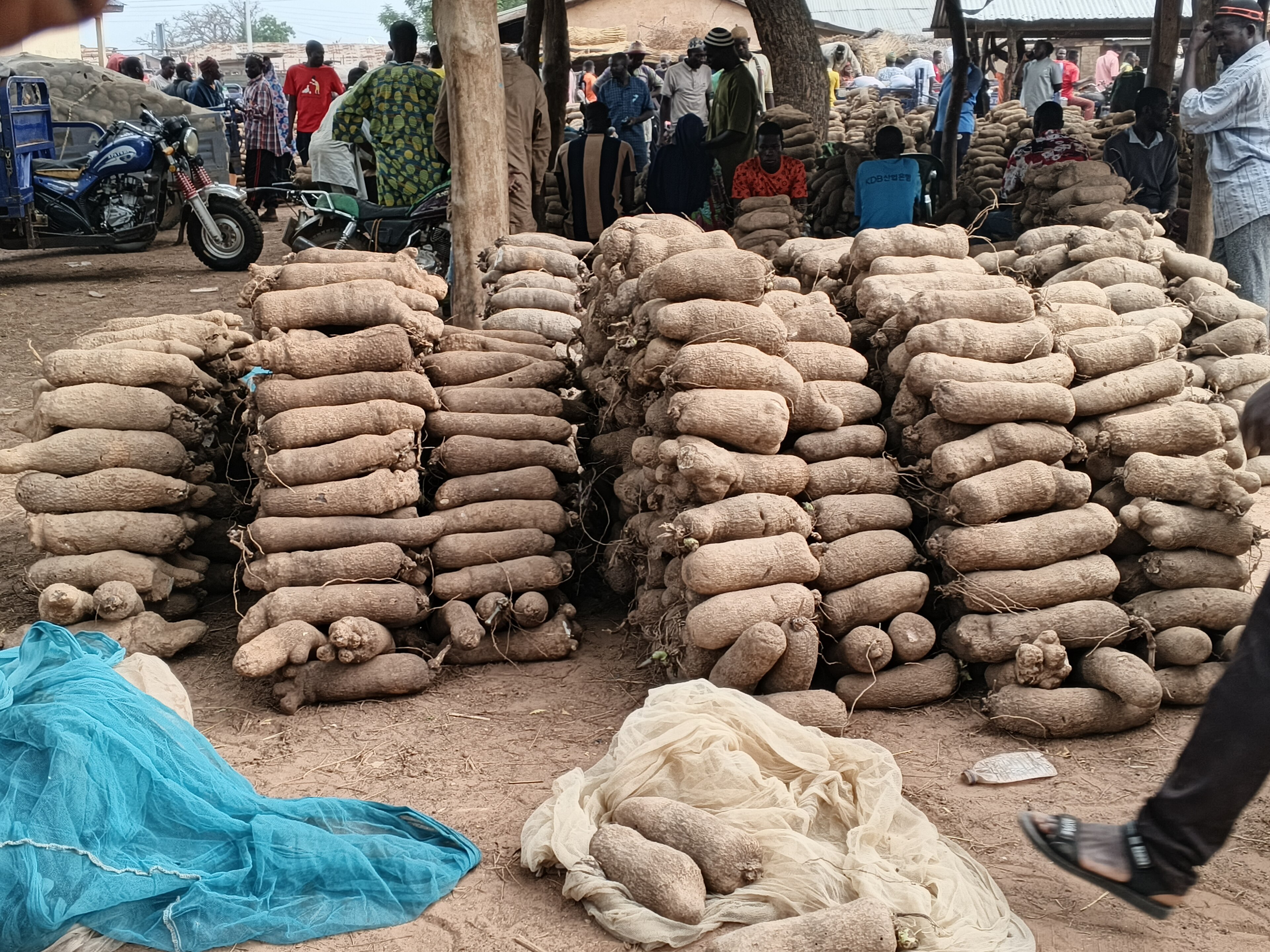 Yam Turns the Lagos Map Upside Down: ₦5,000 at Ile-Epo, ₦2,300 at Epe Main Market