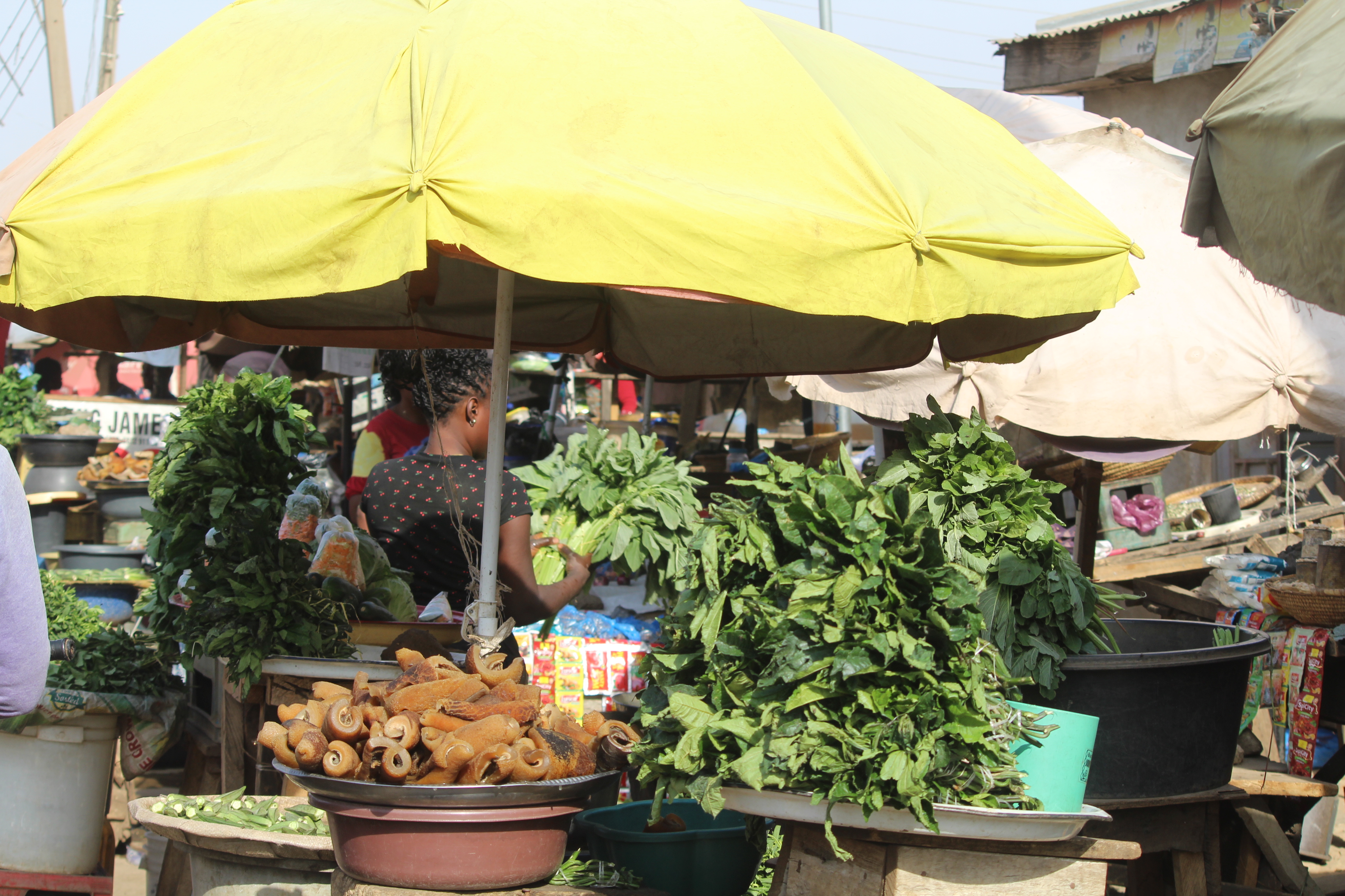 Lagos Vegetables Retreat From June, July Peaks