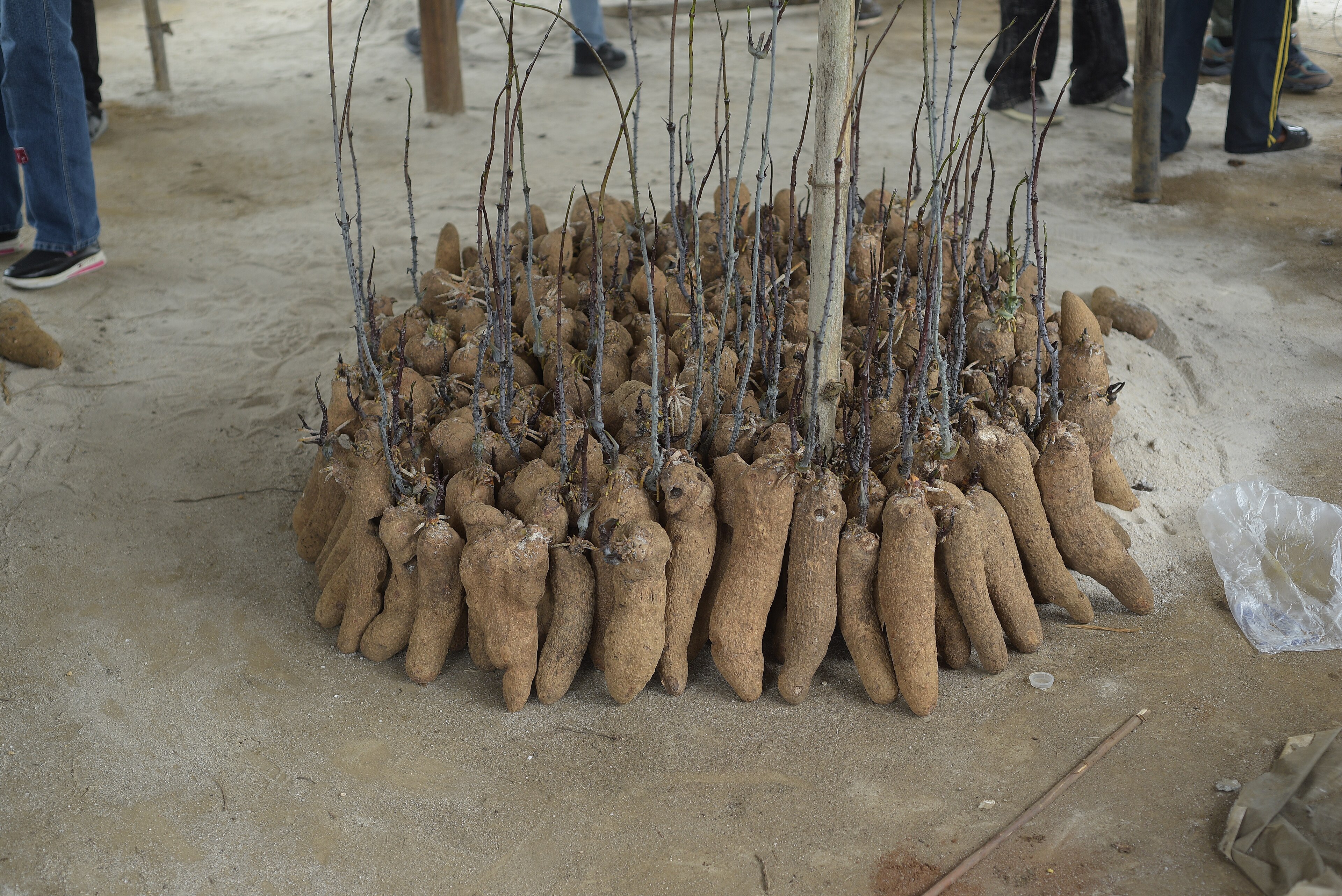 Ekiti Hands Farmers Subsidised Chemicals and Yam Seeds