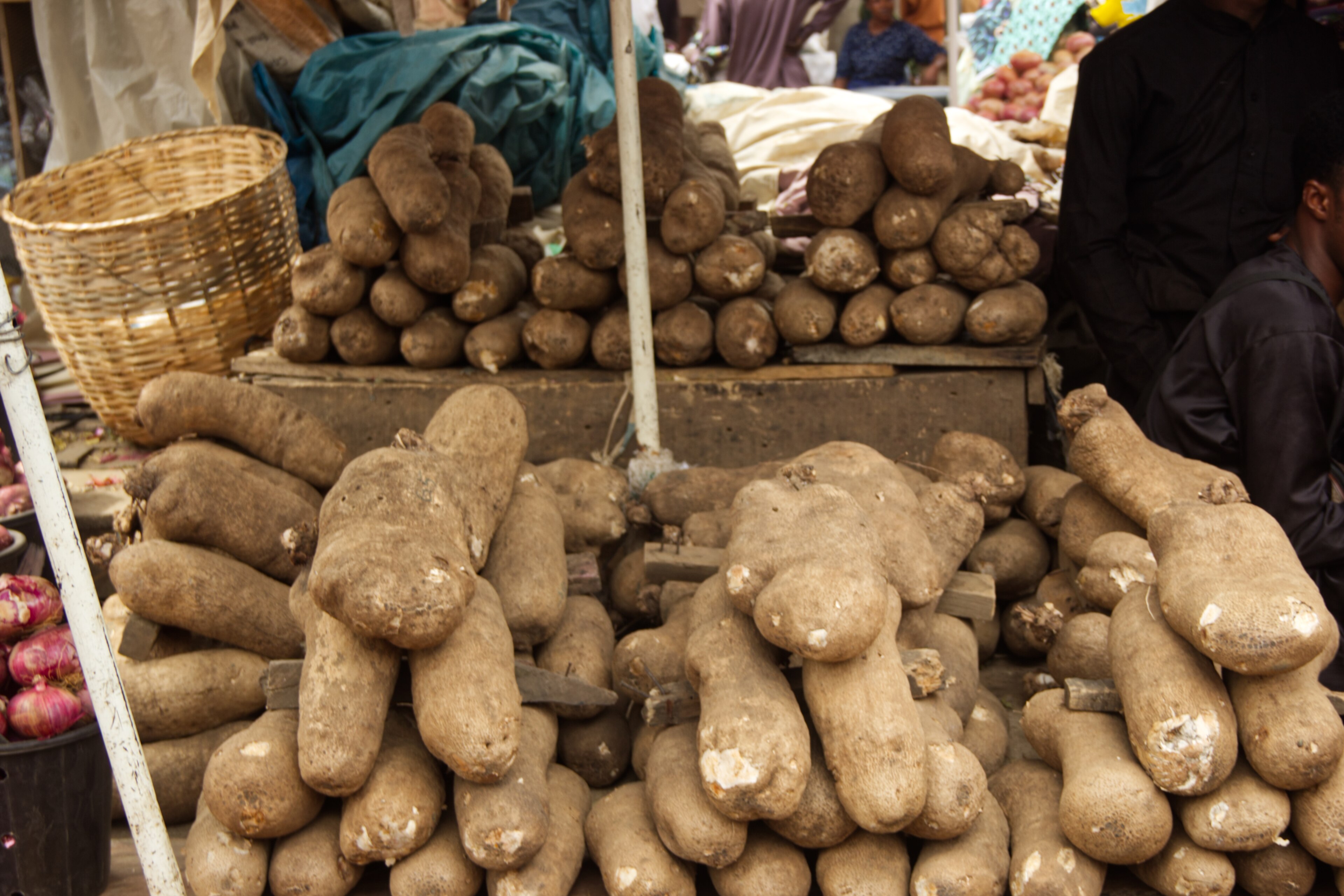 Yam Prices Drop Sharply in Lagos, Mean Falls 9.6% Against Rising Fuel and a Rising Trend